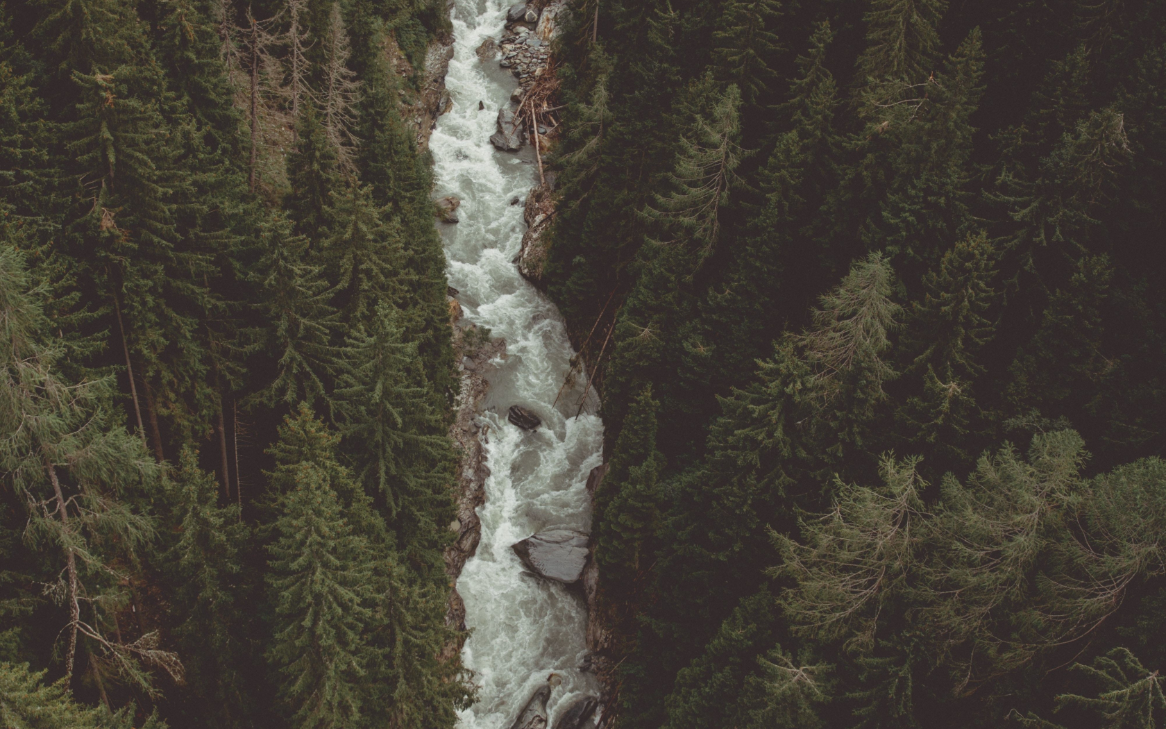 Download wallpaper 1680x1050 river, water stream, forest, nature ...