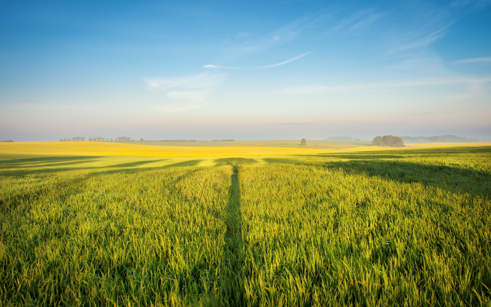 Download wallpaper 1680x1050 green farm, landscape, sky, 16:10 ...