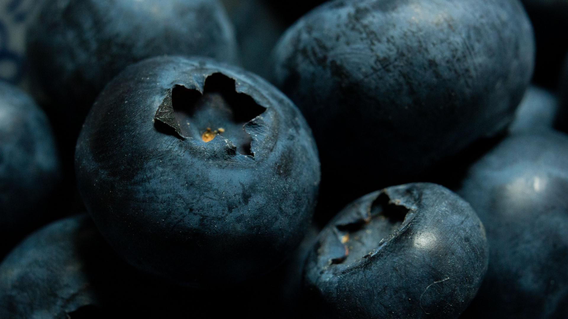 Download wallpaper 1920x1080 blueberries, fresh, close up, full hd ...