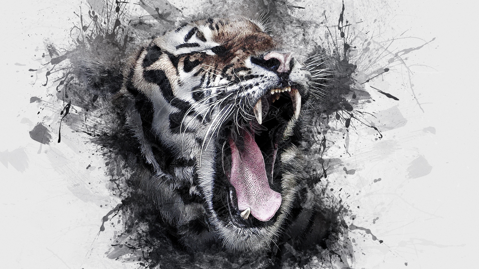 Bengal Tiger Wallpaper HD | iPhone Wallpapers