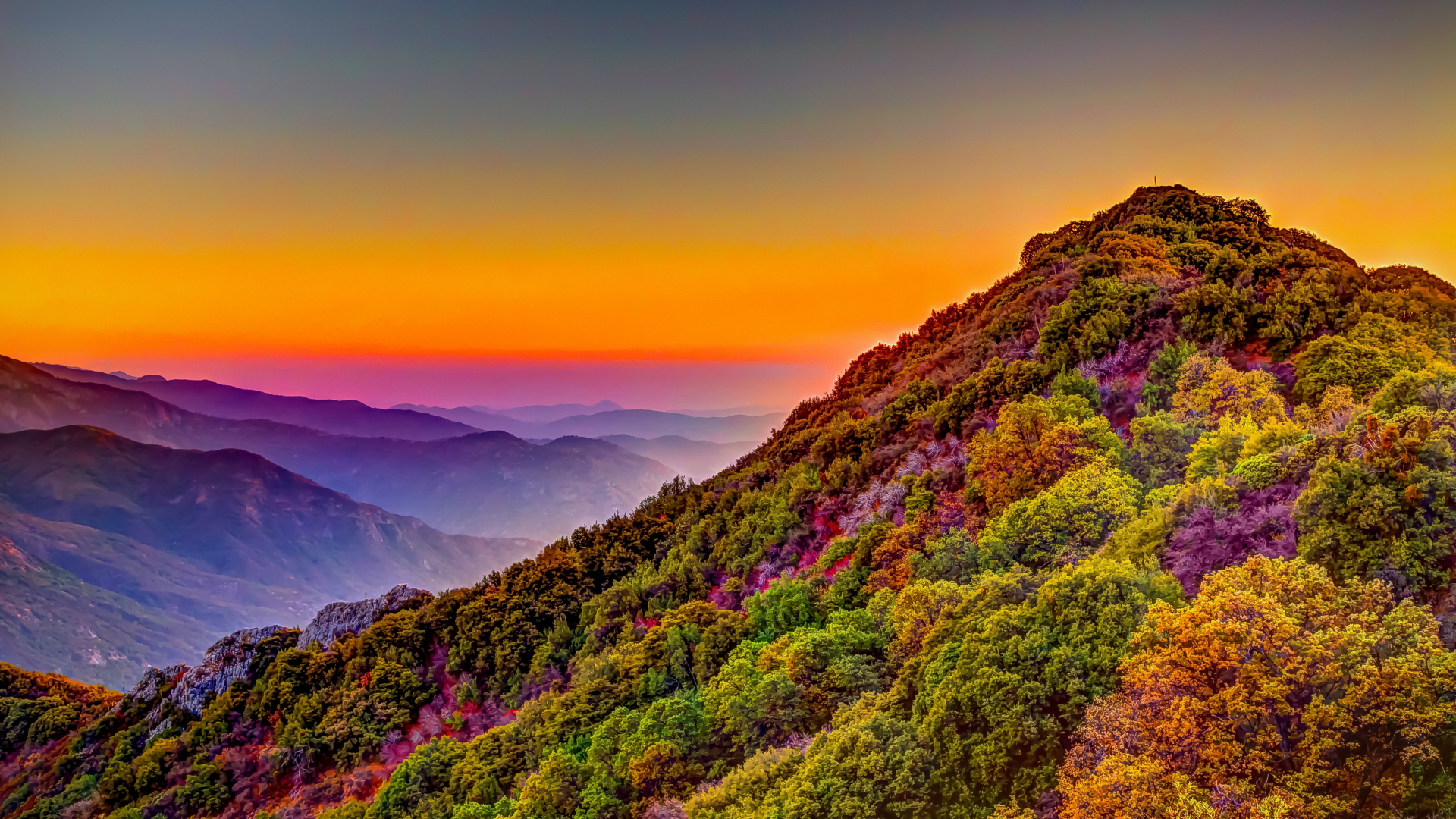Download wallpaper 1920x1080 sequoia national park, sunset, hill, forest,  horizon, nature, full hd, hdtv, fhd, 1080p wallpaper, 1920x1080 hd  background, 16440