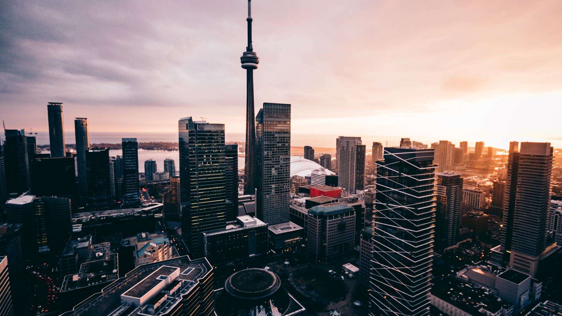 Free cn tower Photos & Pictures | FreeImages