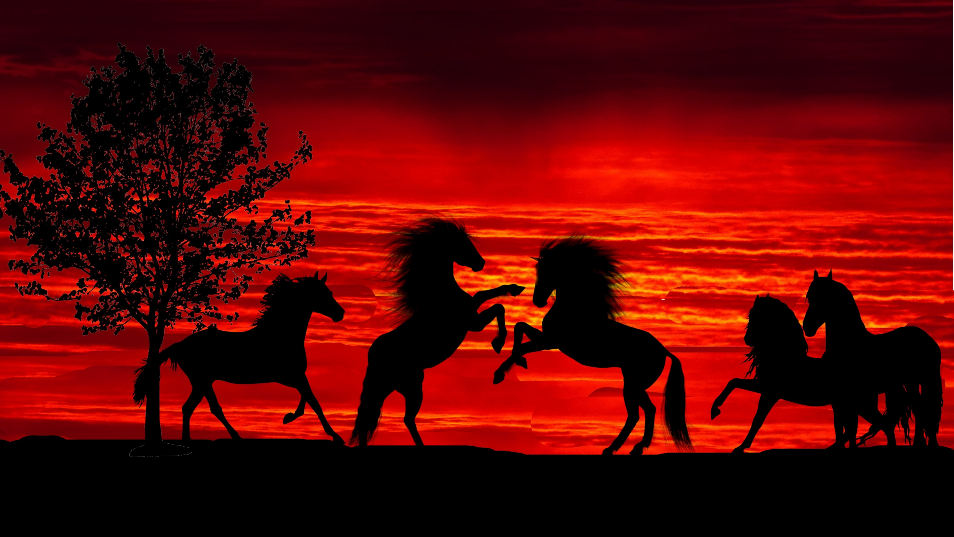 Download wallpaper 1920x1080 sunset, silhouette, horses, herd, full hd