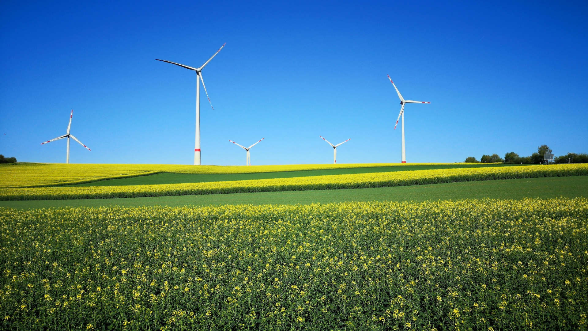 Wind Turbine Wallpaper