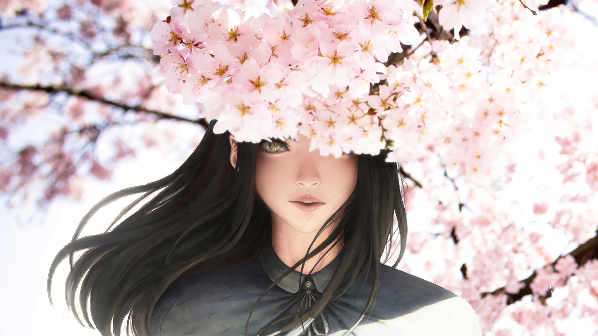 Download wallpaper 1920x1080 anime girl, original, cherry blossom