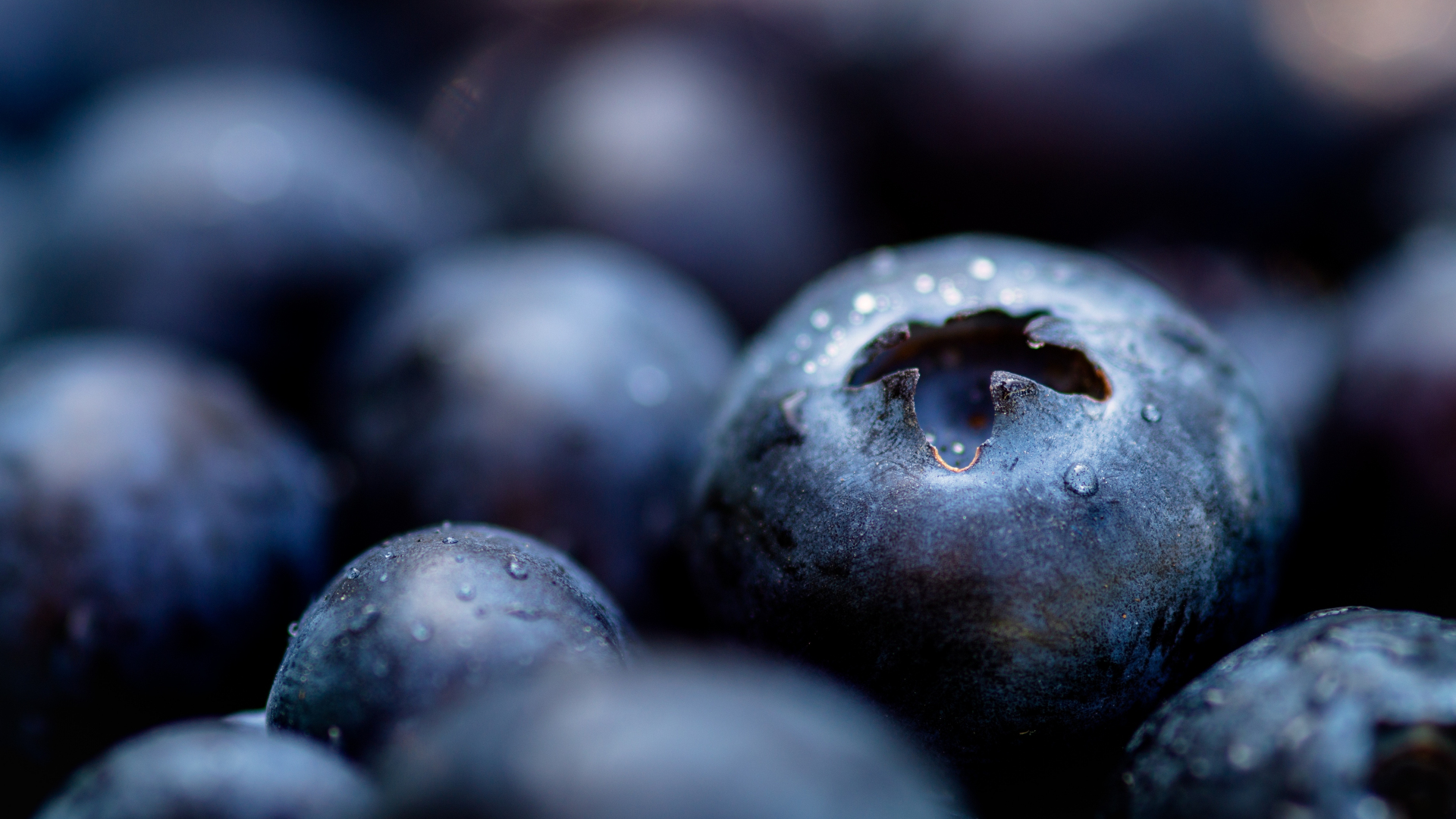 Download wallpaper 1920x1080 blueberries, fresh, drops, close up, full ...