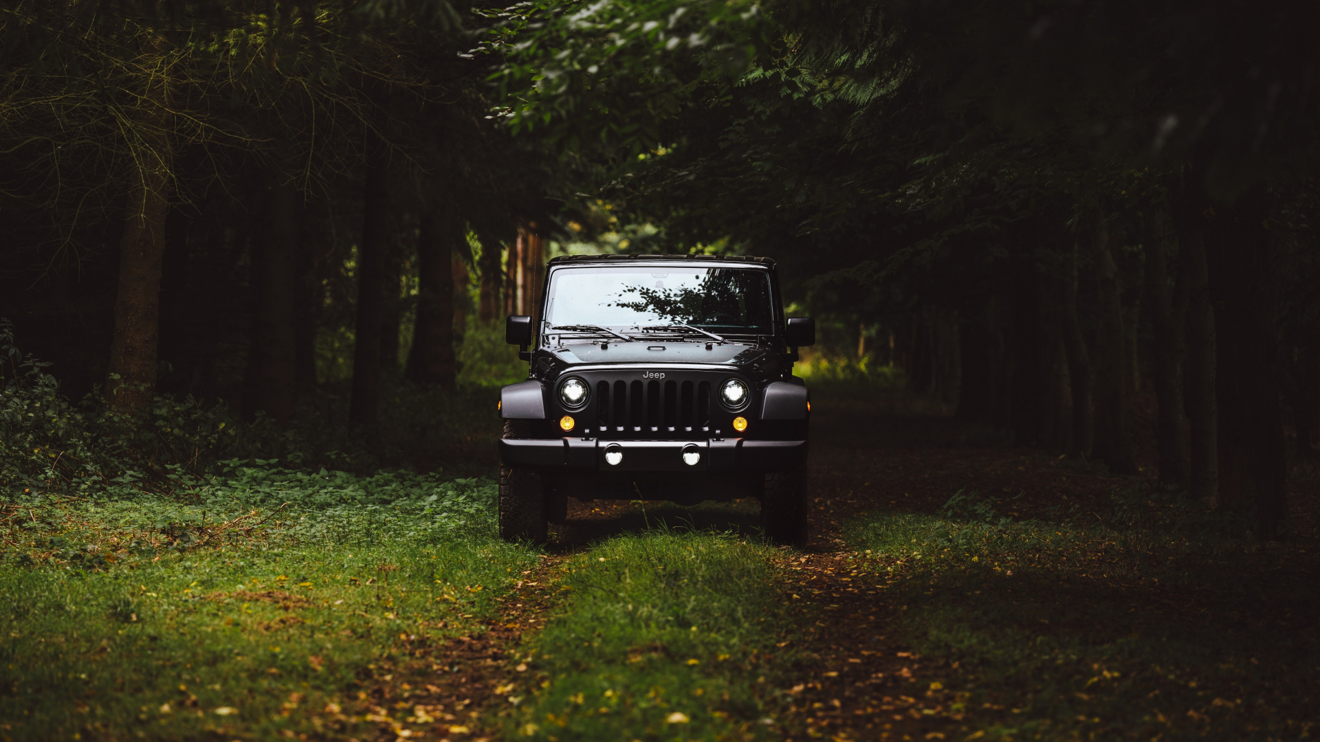 Download 1920x1080 wallpaper black jeep, forest, jeep ...