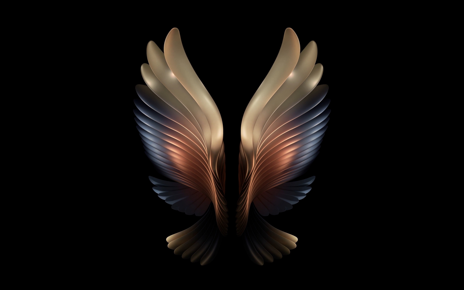 Amoled, angel wings, dark, 1920x1200 wallpaper