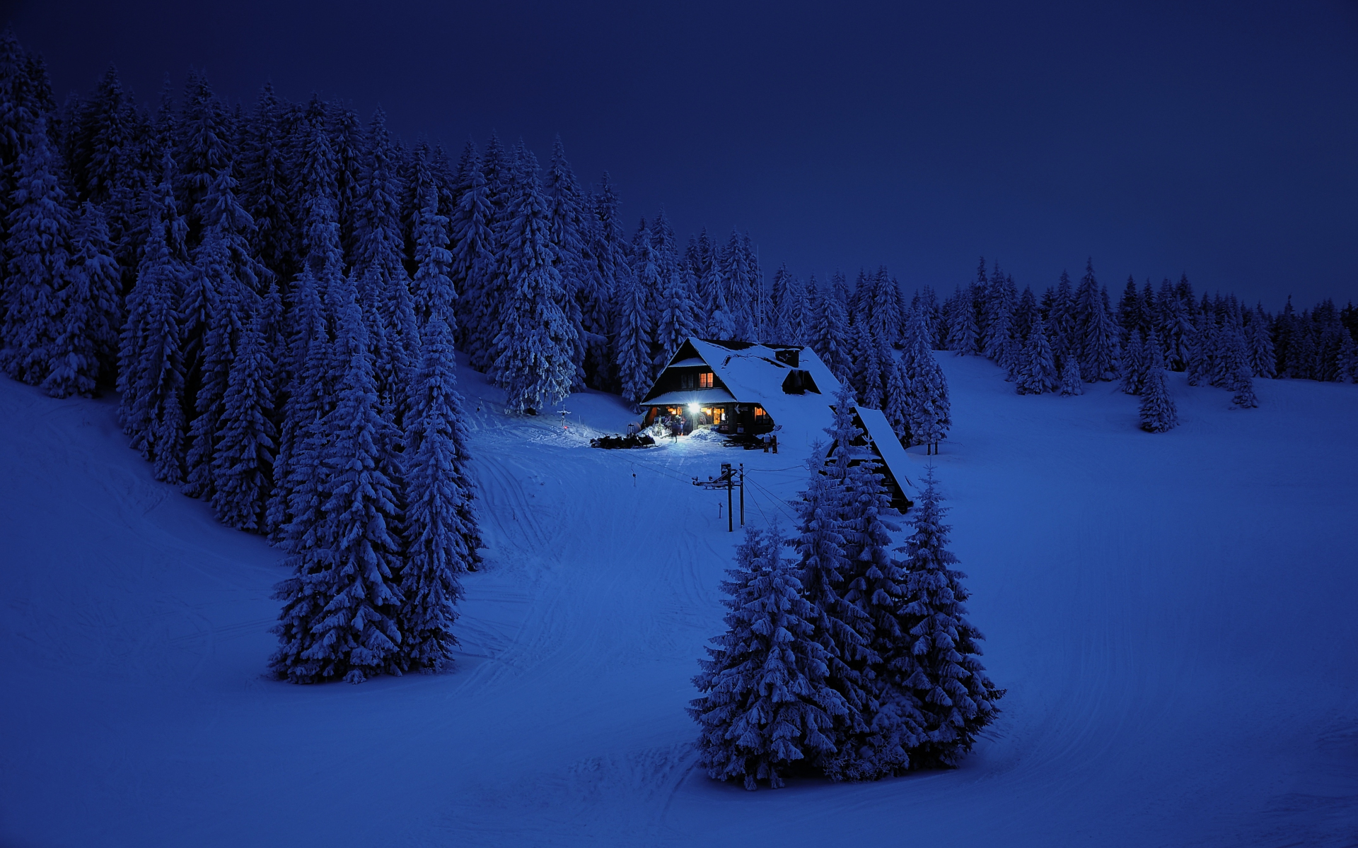 Download house, night, winter, trees, snow layer, nature 1920x1200