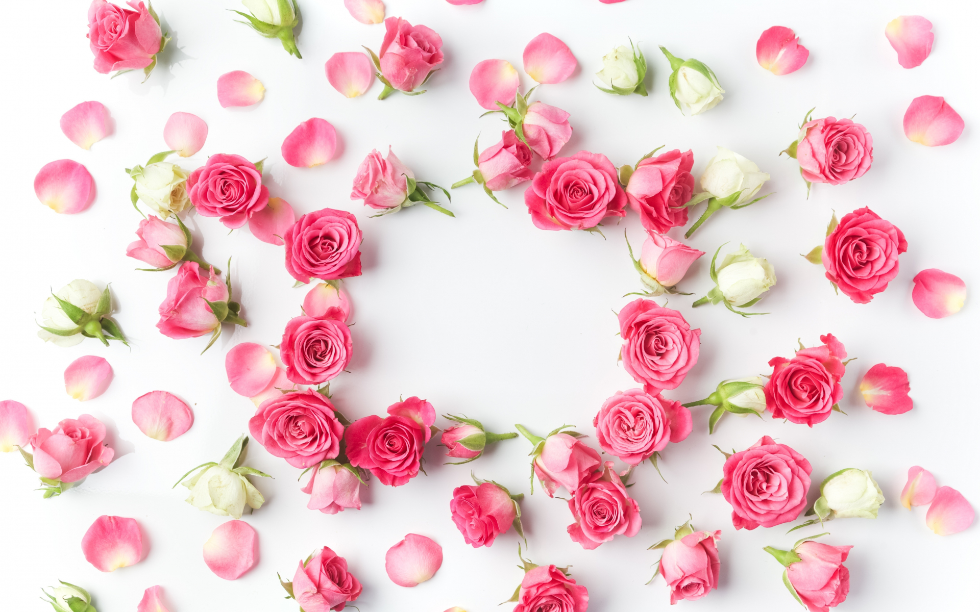 Download 1920x1200 wallpaper flowers, petals, pink roses, flowers