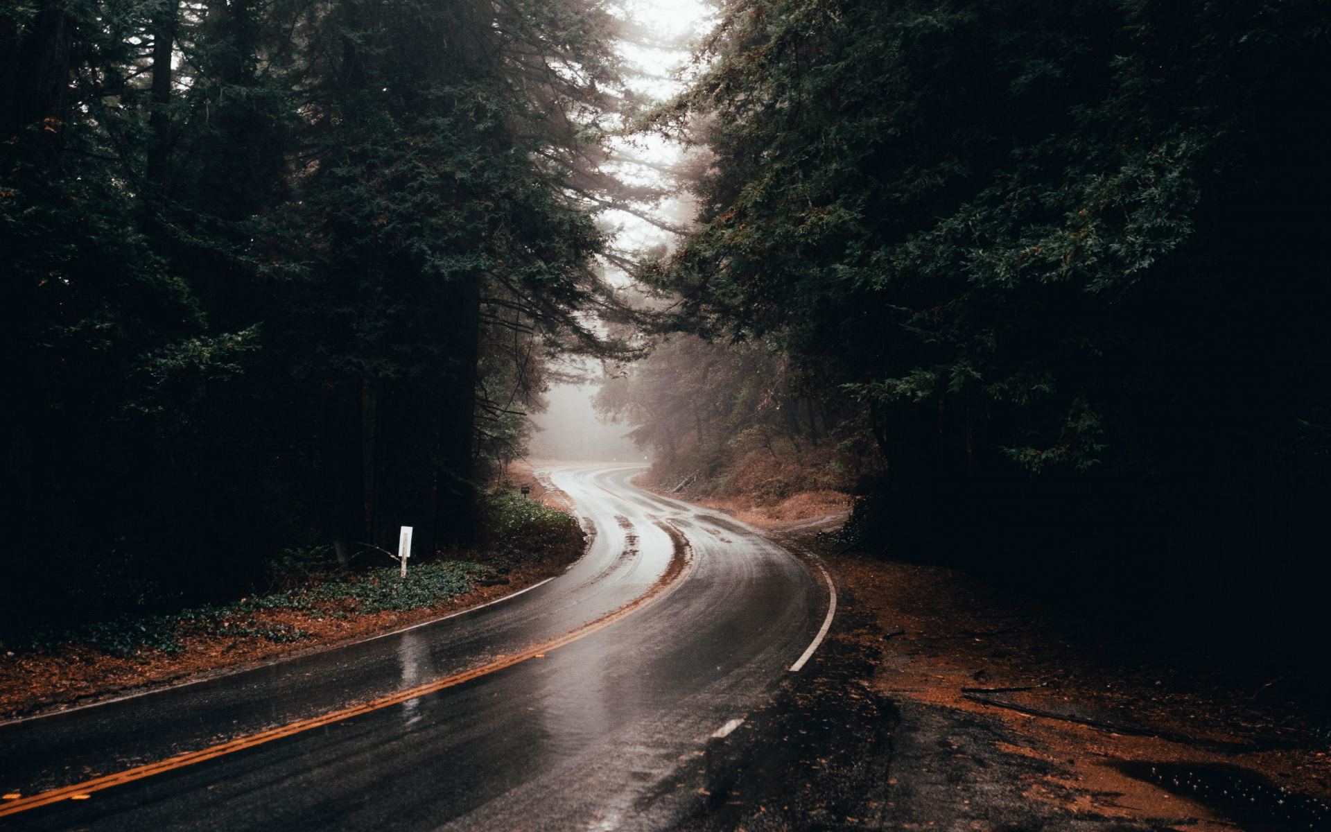 Highway turn, road, rainy, water on road, 1920x1200 wallpaper