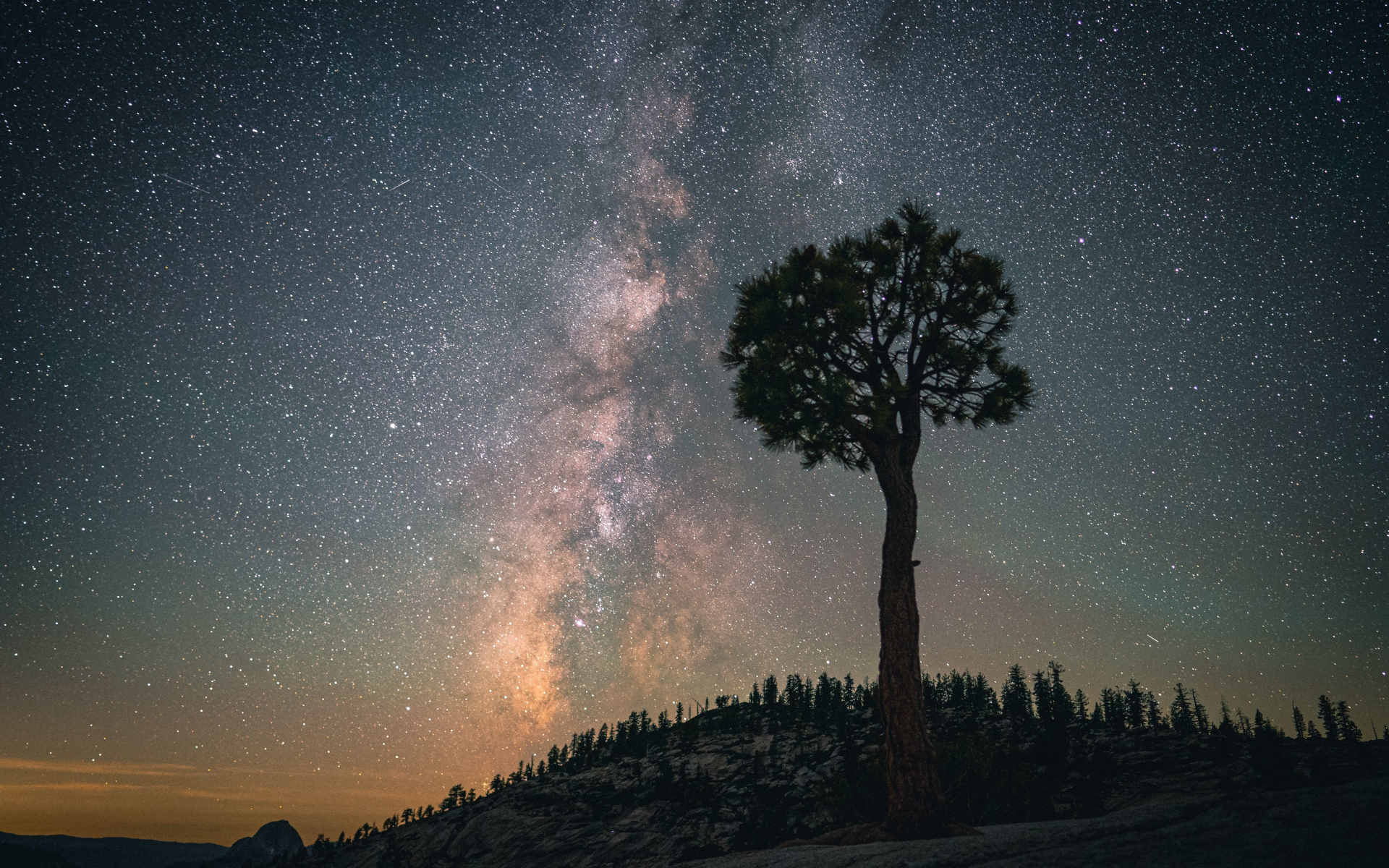 Download wallpaper 1920x1200 silhouette, milky way, starry sky, tree ...