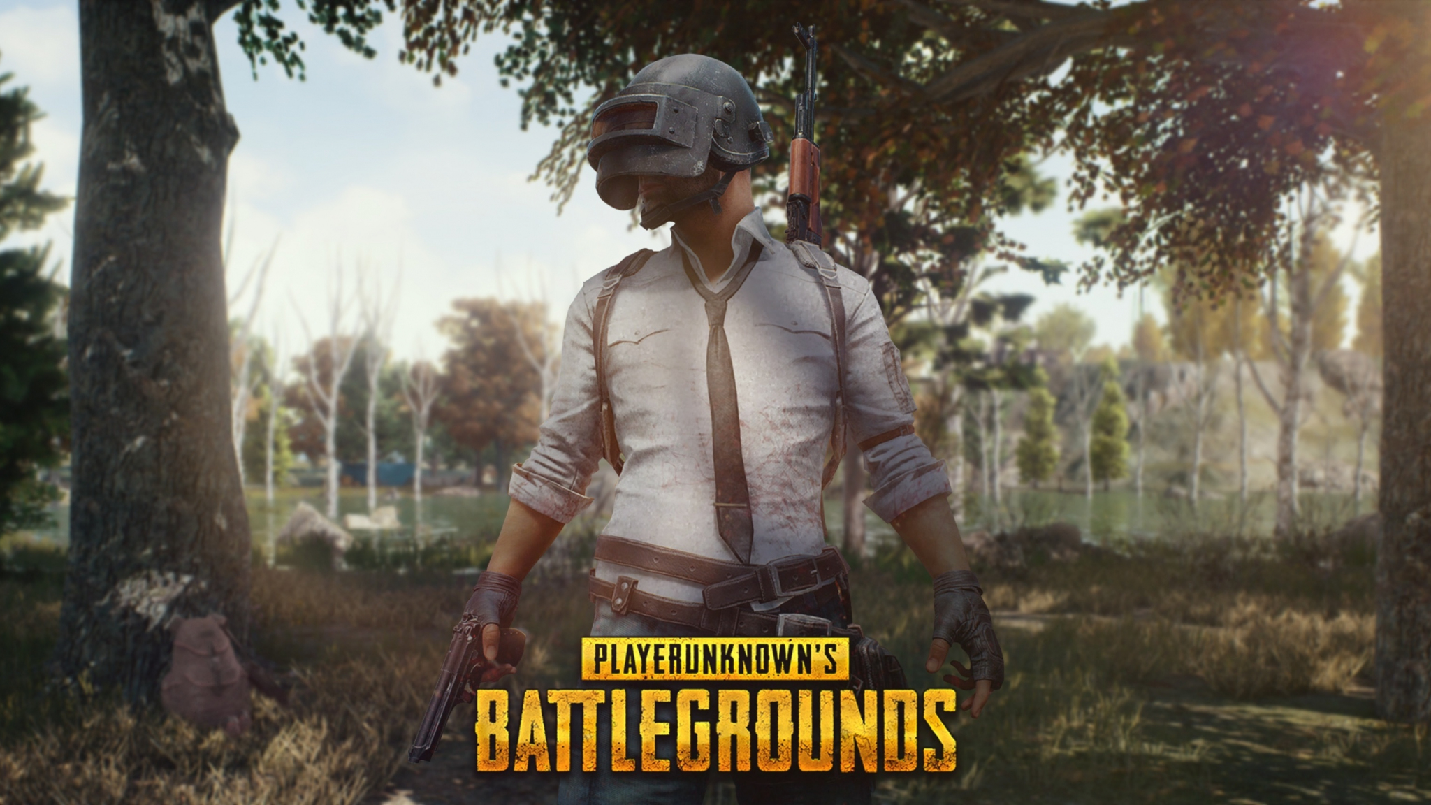  Download  2048x1152 wallpaper  pubg forest theme mobile  
