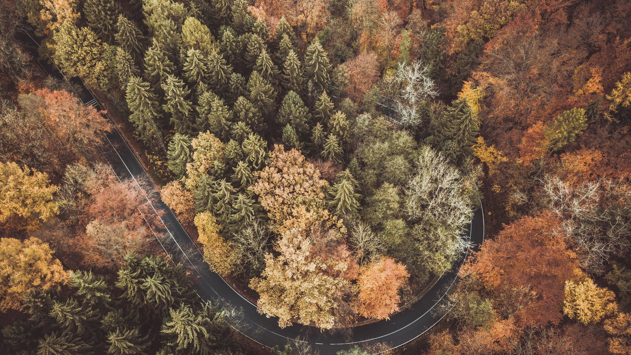 Download 2048x1152 Wallpaper Autumn Highway Forest Aerial