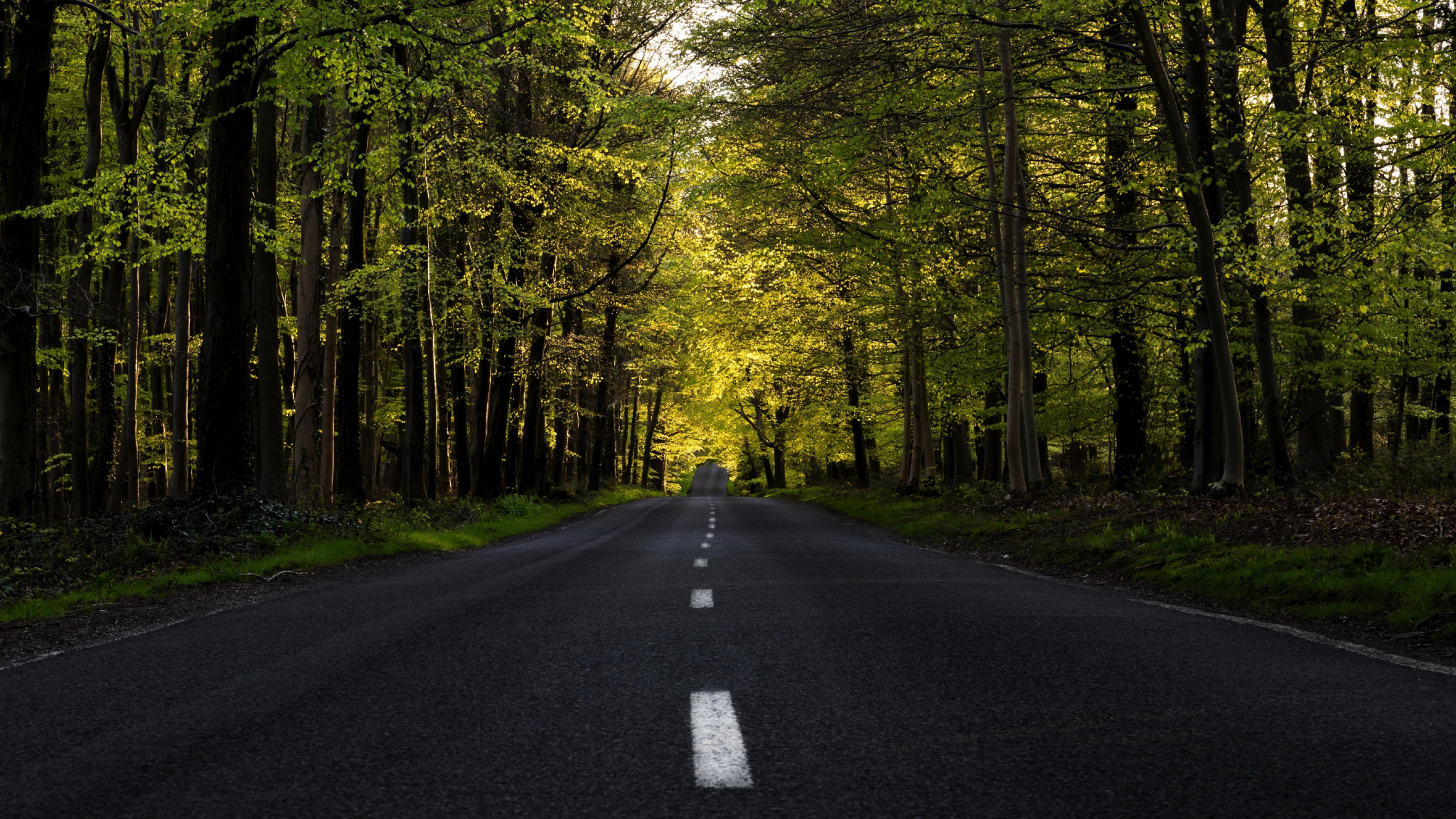 Download 2048x1152 wallpaper highway forest tree road 