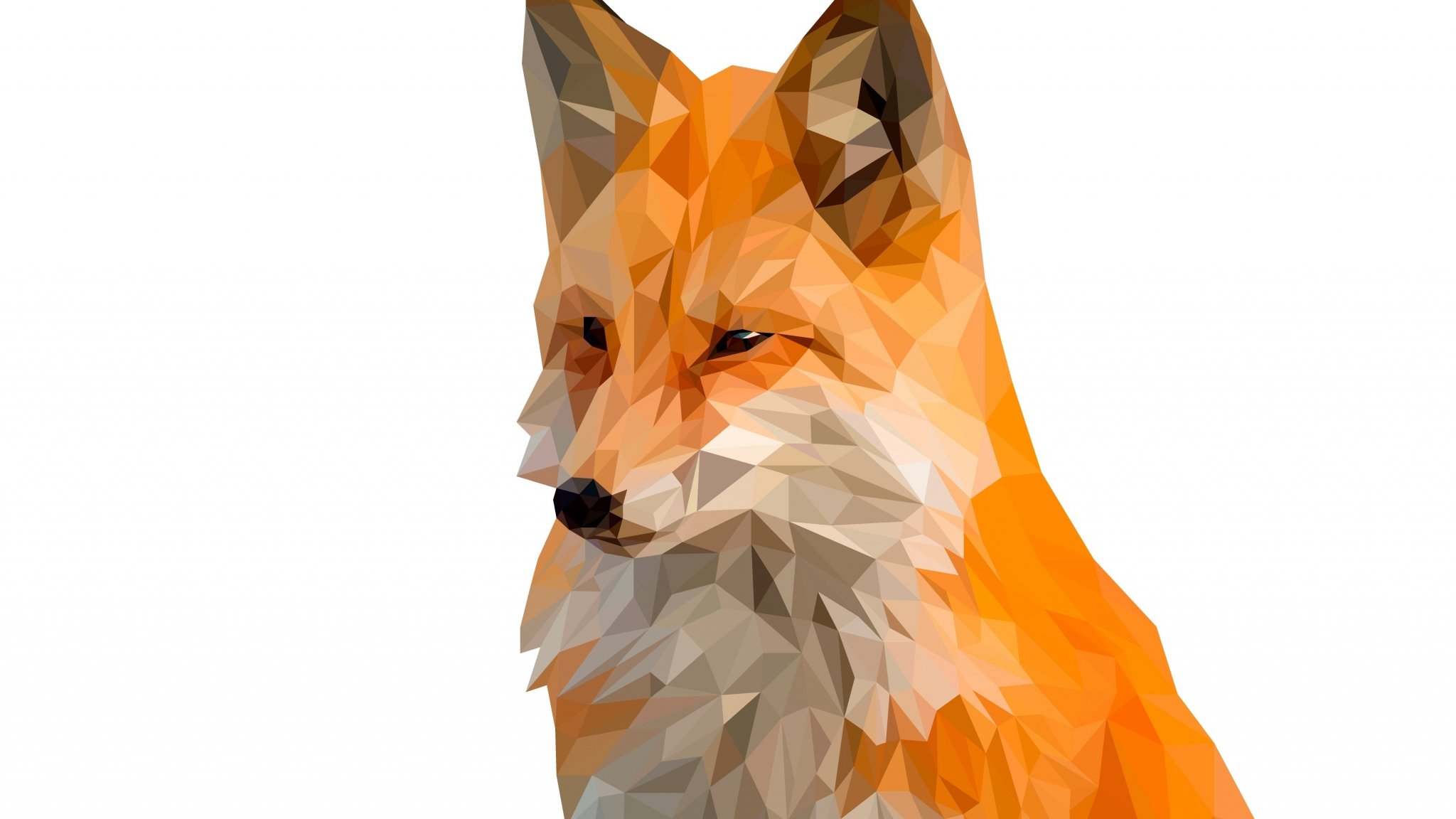 Fox, muzzle, digital art, low poly, 2048x1152 wallpaper