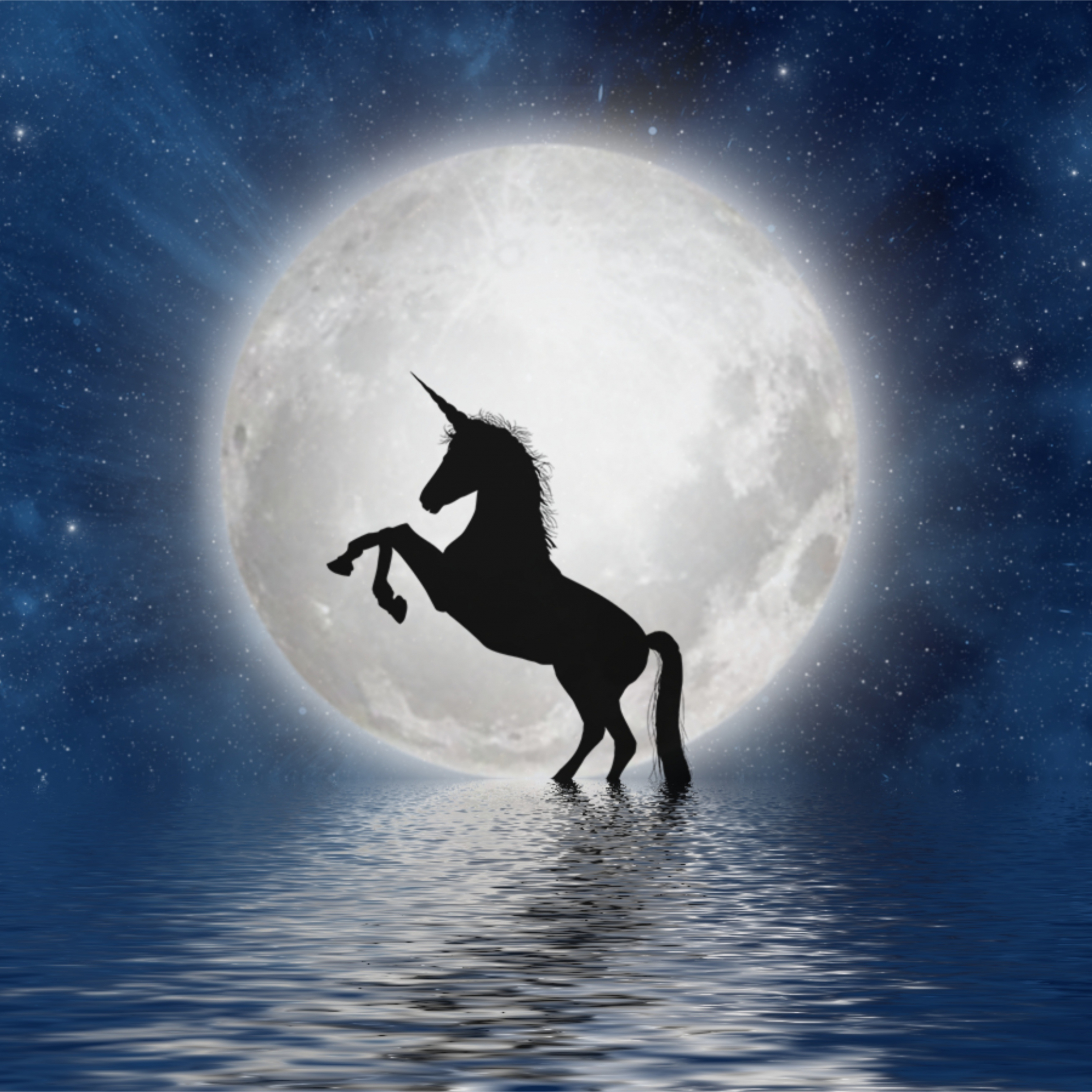 Free download Unicorn iPhone HD Wallpaper iPhone HD Wallpaper download  iPhone 640x960 for your Desktop Mobile  Tablet  Explore 37 HD Unicorn  Wallpapers  Unicorn Background Unicorn Wallpapers Unicorn Backgrounds
