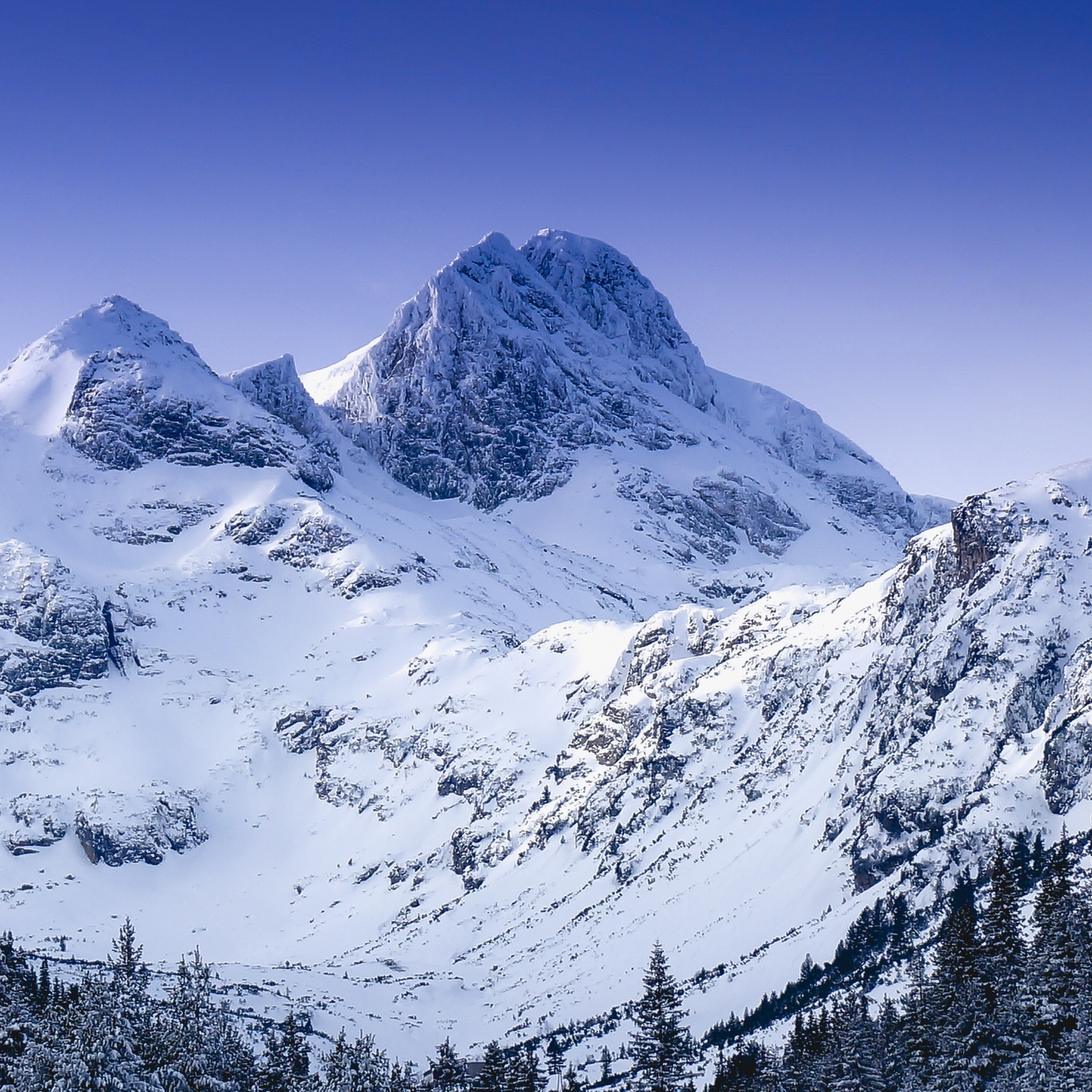 Winter, glacier, mountain, nature, 2248x2248 wallpaper