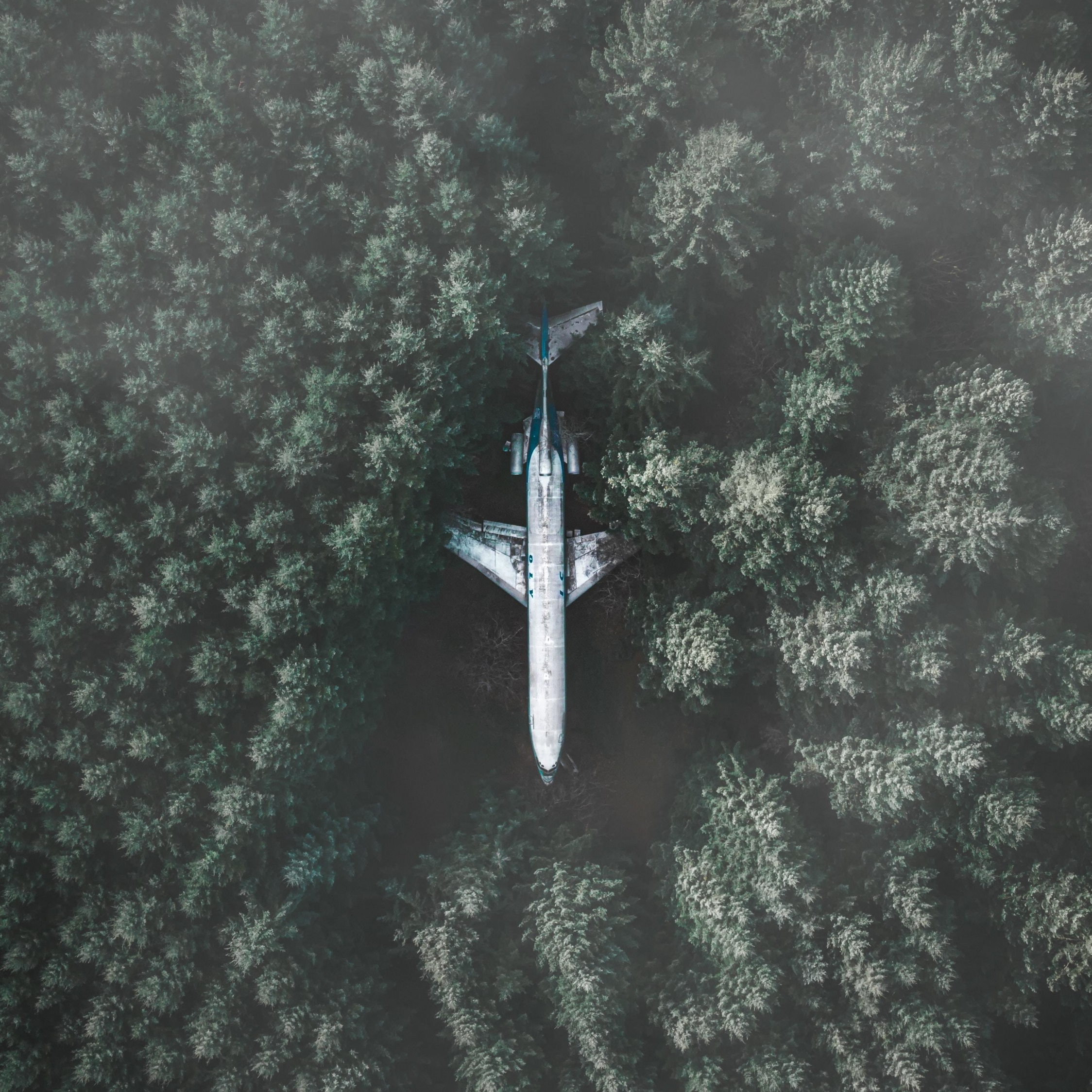 Download wallpaper 2248x2248 airplane, forest, aerial view, ipad air, ipad  air 2, ipad 3, ipad 4, ipad mini 2, ipad mini 3, 2248x2248 hd background,  23519