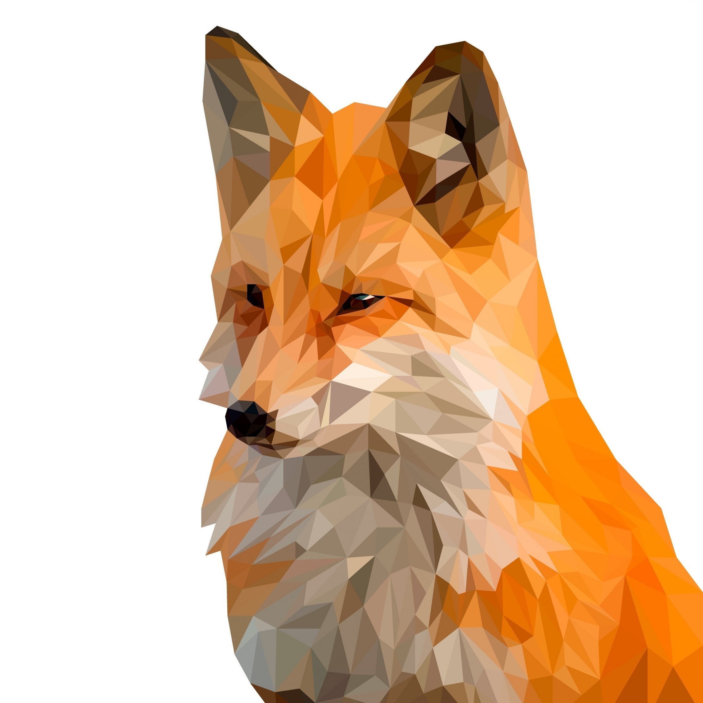 Fox, muzzle, digital art, low poly, 2248x2248 wallpaper