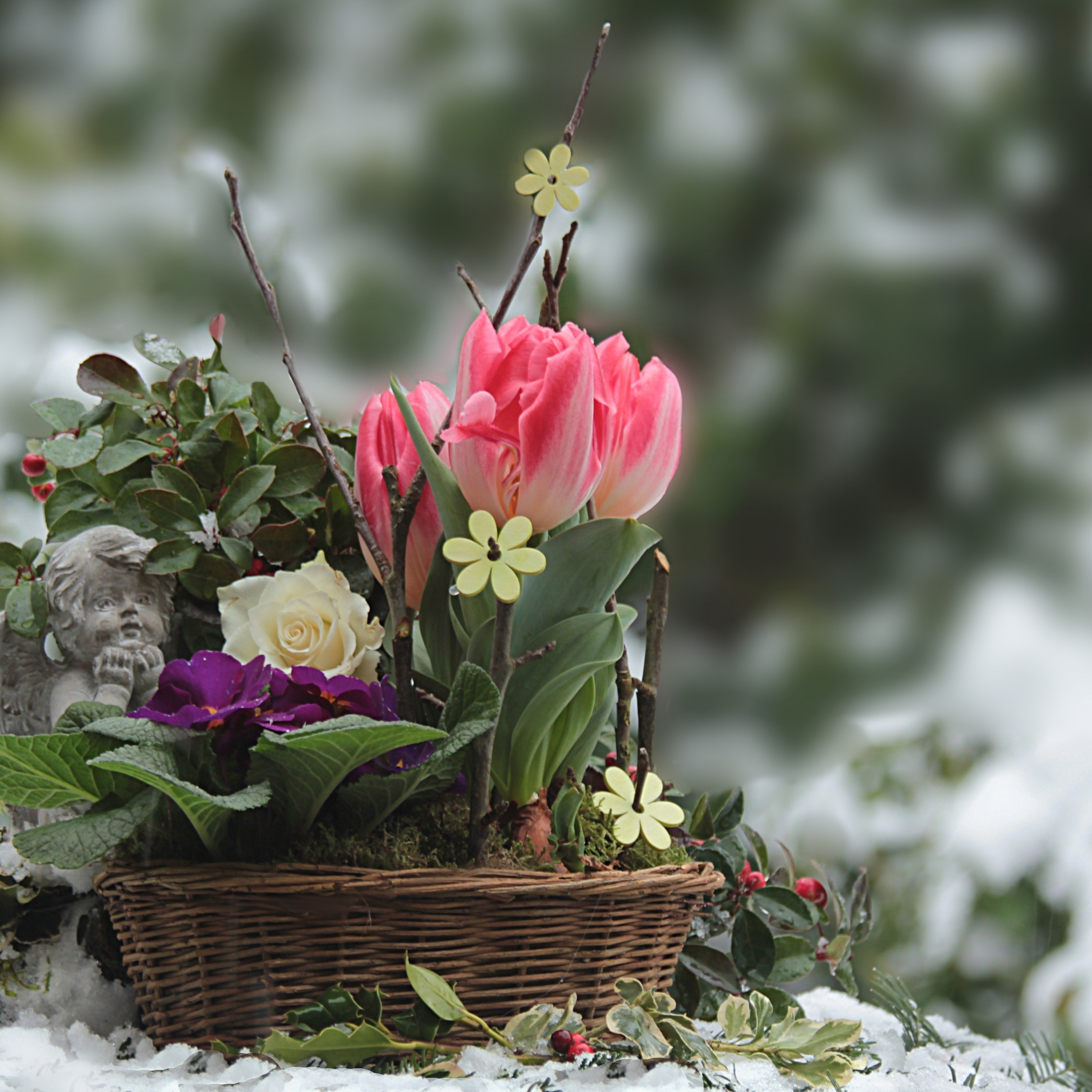 Цветок зима красивая. Зимние цветы. Цветы в снегу. Красивые зимние цветы. Весенние композиции.