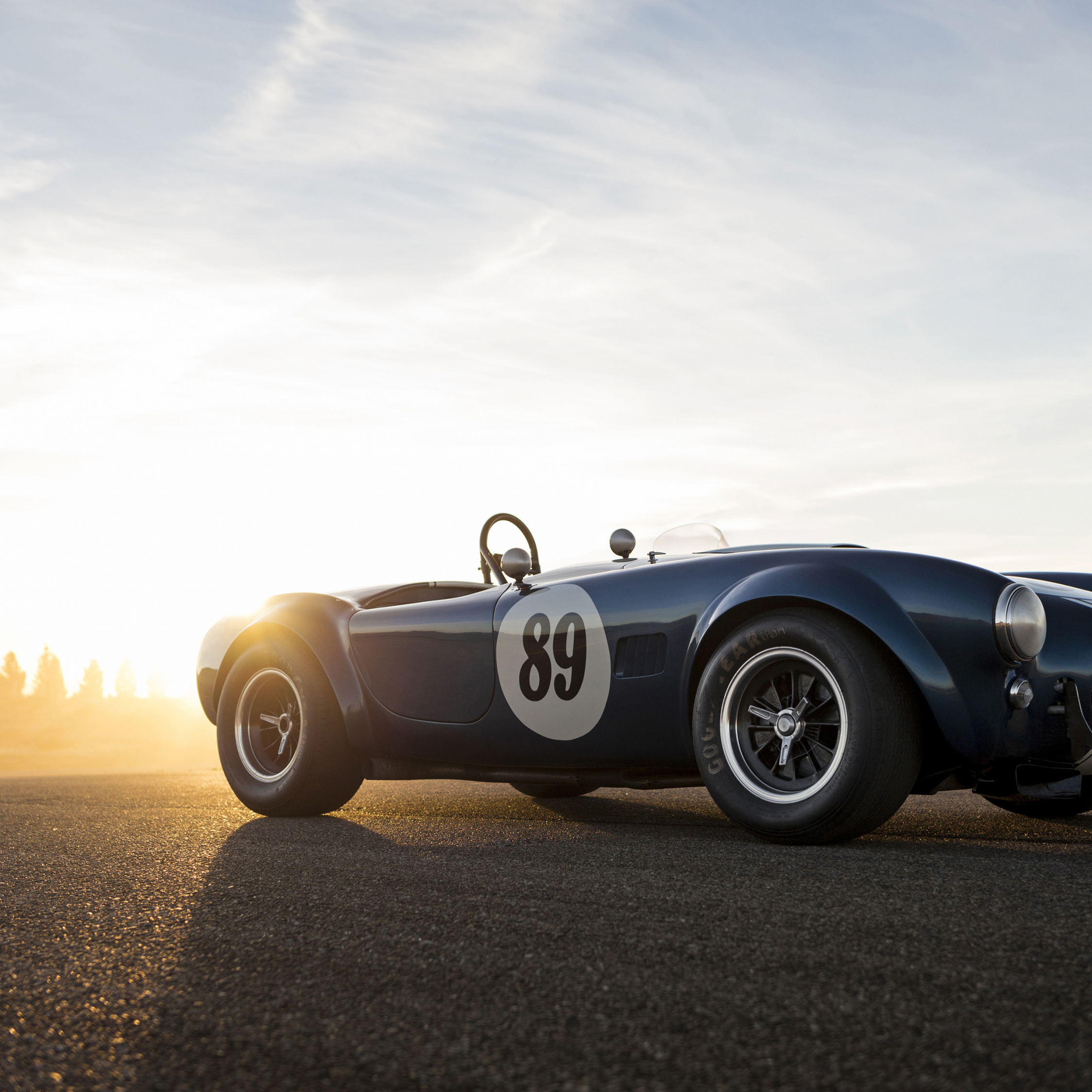 Shelby Cobra РѕР±РѕРё