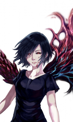 Download wallpaper 240x400 wings, anime girl, touka kirishima, old ...