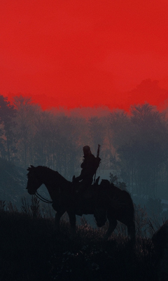 The Witcher 3, Geralt, sunset, silhouette, 240x400 wallpaper