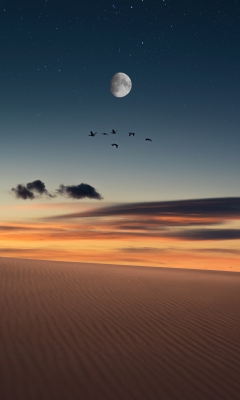 Full moon, birds, landscape, desert, 240x400 wallpaper