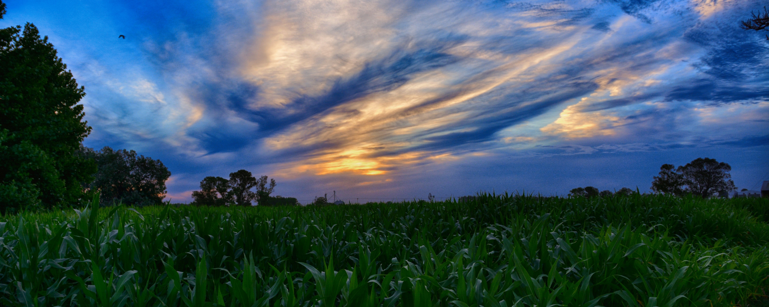 Download   2560x1024 Sunset Clouds Green Farm Dual Wide 21 9   Sunset Clouds Farm 