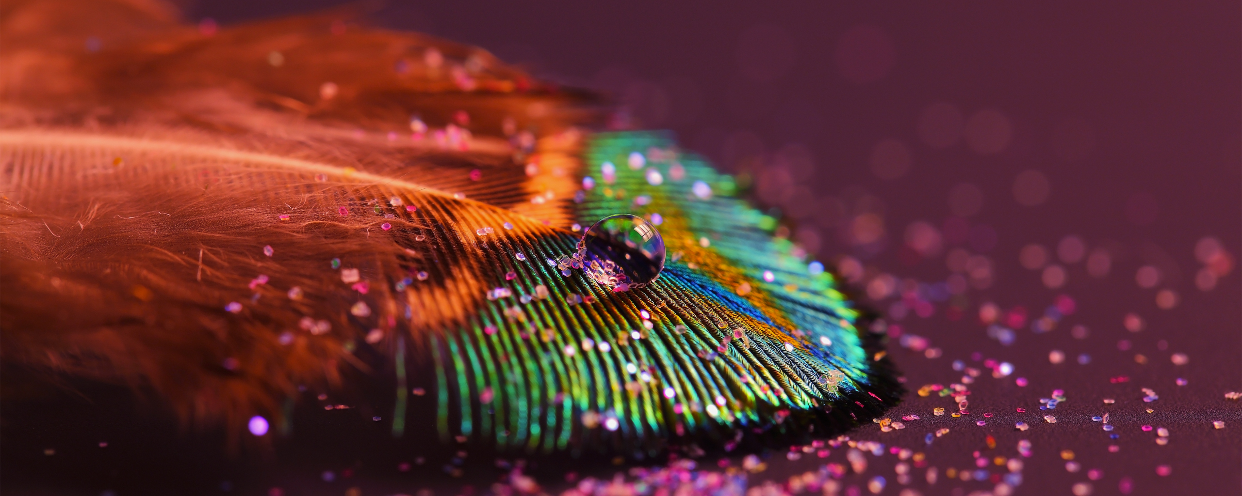 Download   2560x1024 Peacock Feather Close Up Dual Wide 21 9   Peacock Feather Close Up 