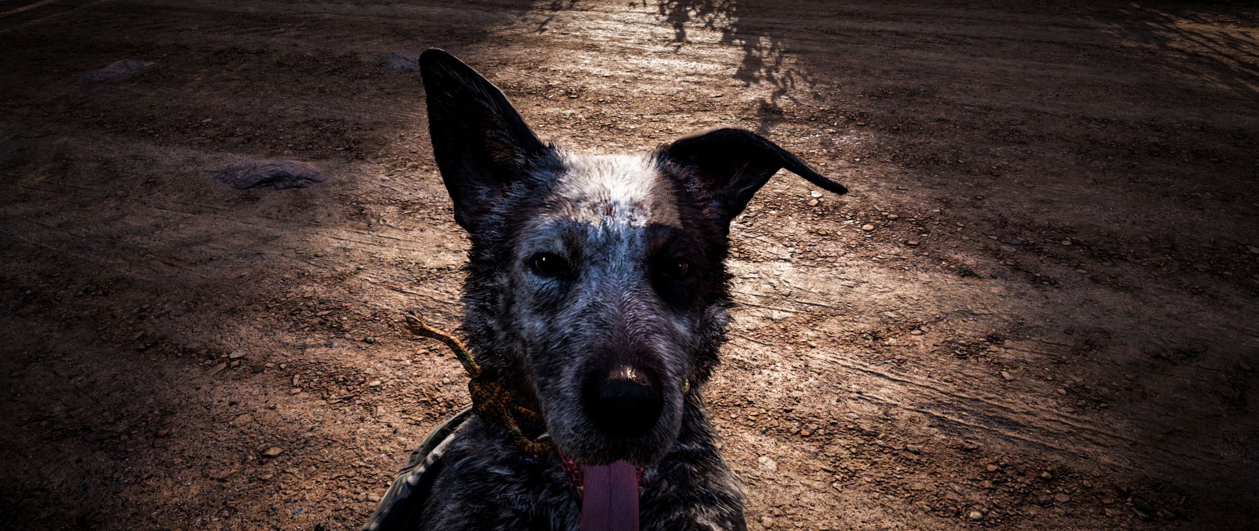 Download dog, muzzle, far cry 5, video ...