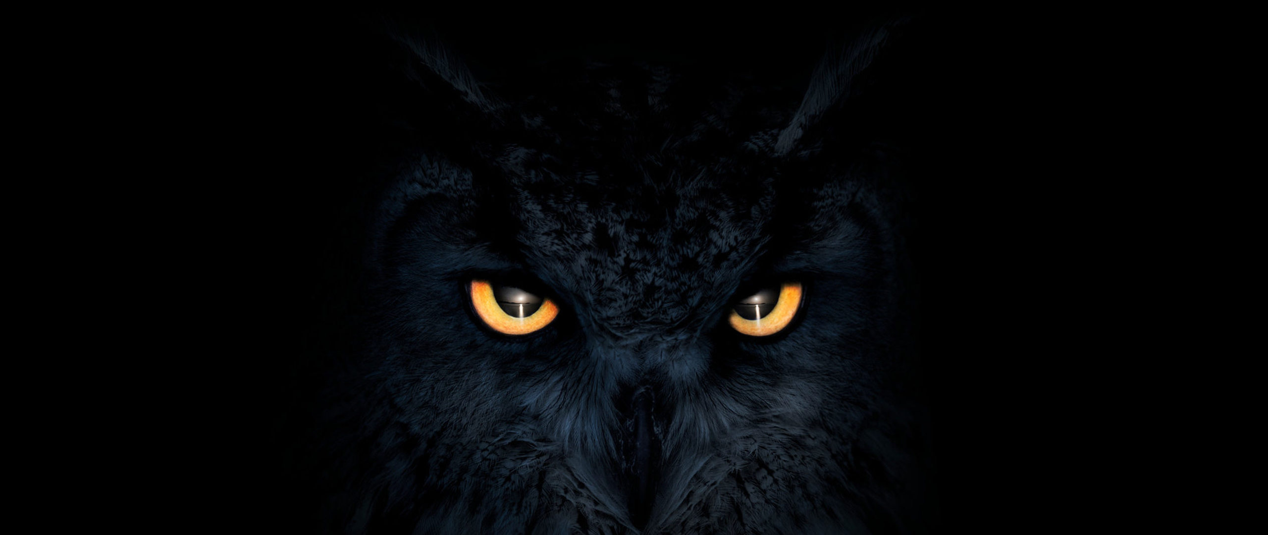 Download owl, dark, glowing eyes, muzzle 2560x1080 wallpaper, dual wide ...