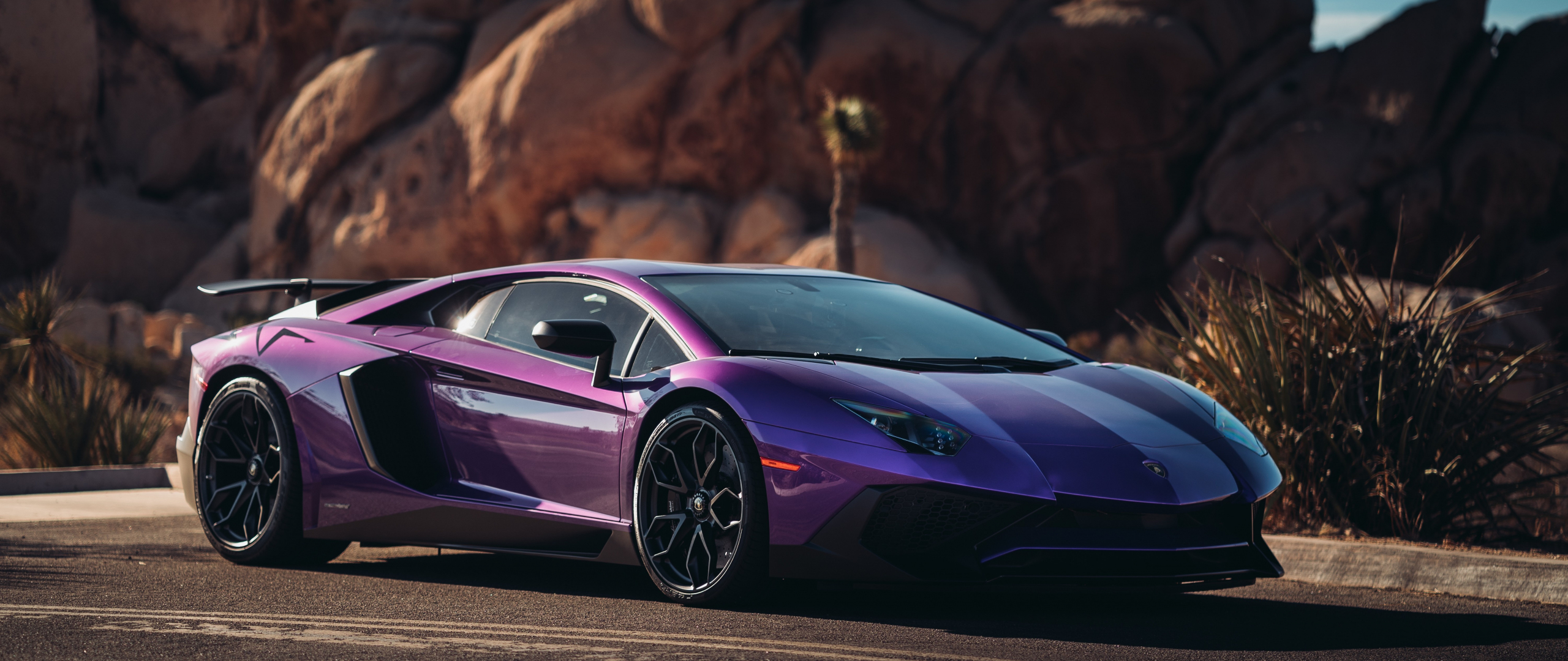 Lamborghini Aventador Violet 4k