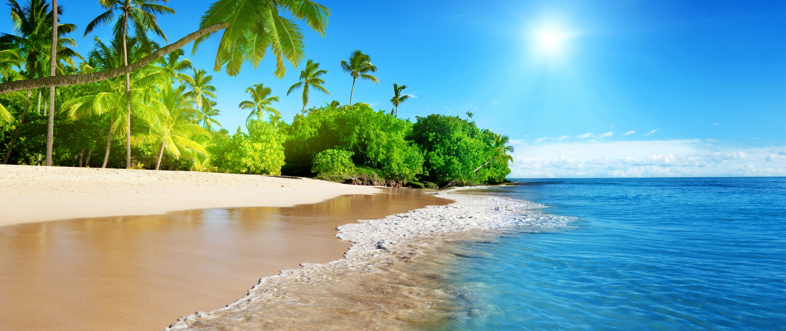 Download 2560x1080 wallpaper tropical beach, sea, calm, sunny day