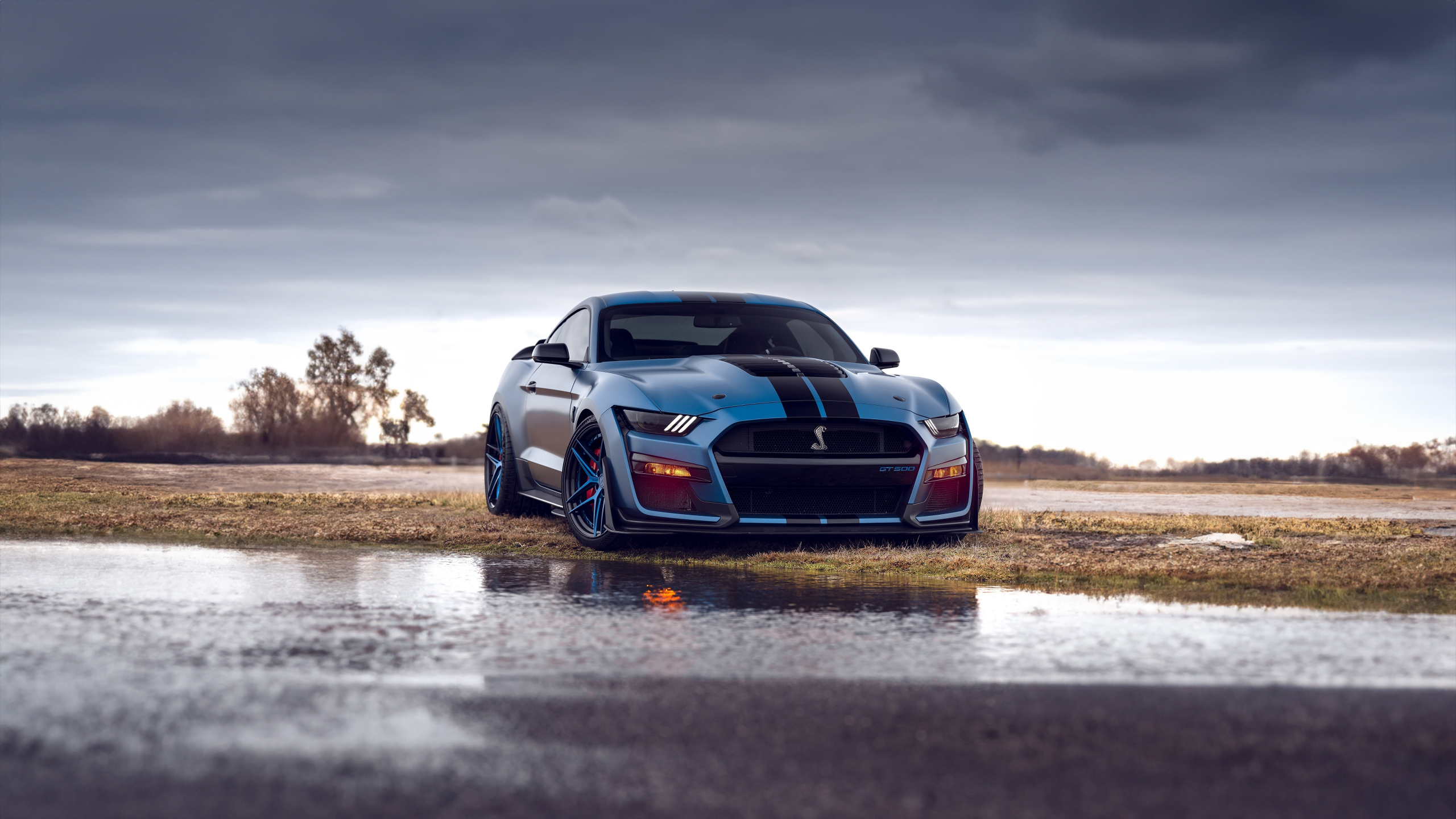 Download wallpaper 2560x1440 blue ford mustang shelby gt500, 2023 car ...