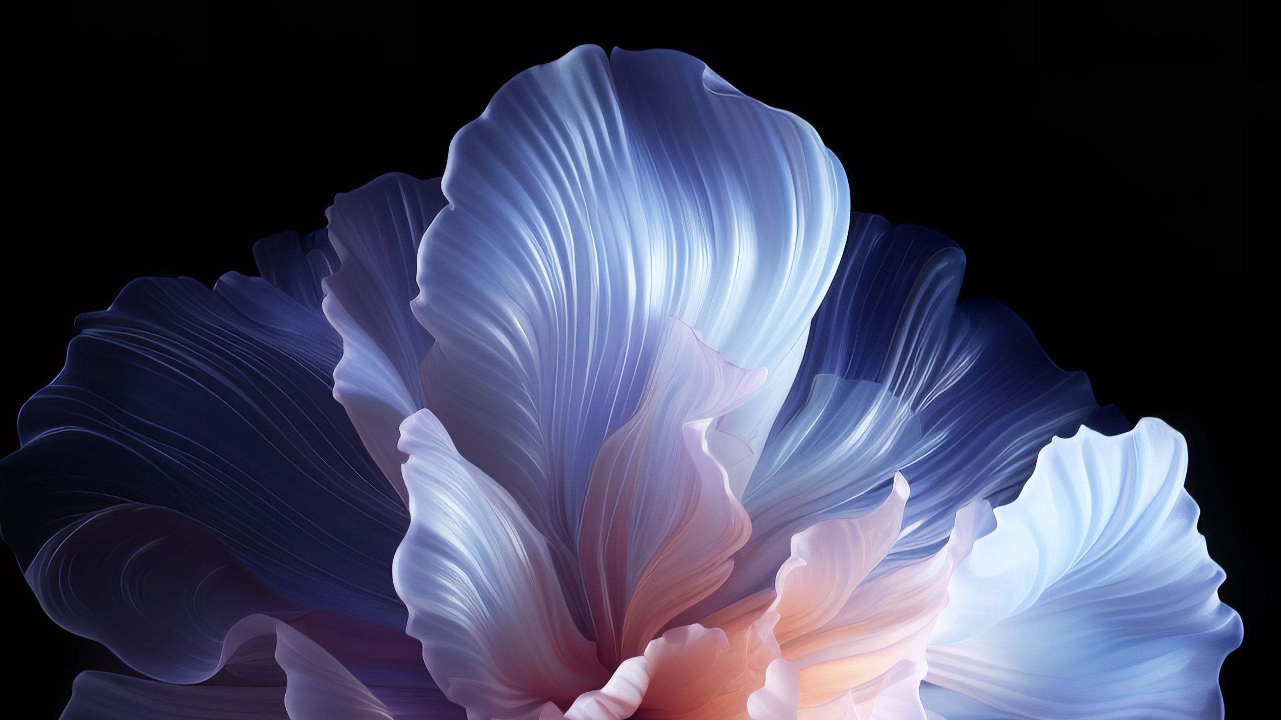 Download wallpaper 2560x1440 petal shape floral pattern, digital art ...