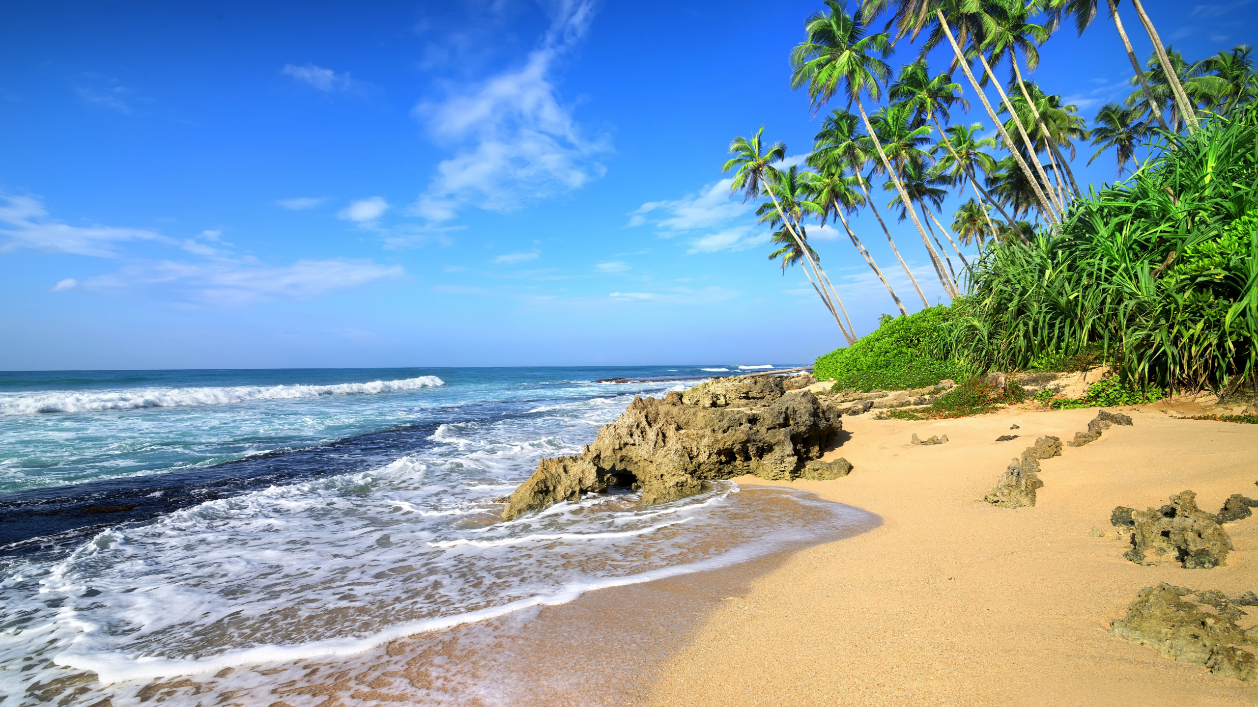 Featured image of post Widescreen Tropical Beach Wallpaper : Beautiful palms trees and mountain wallpaper.