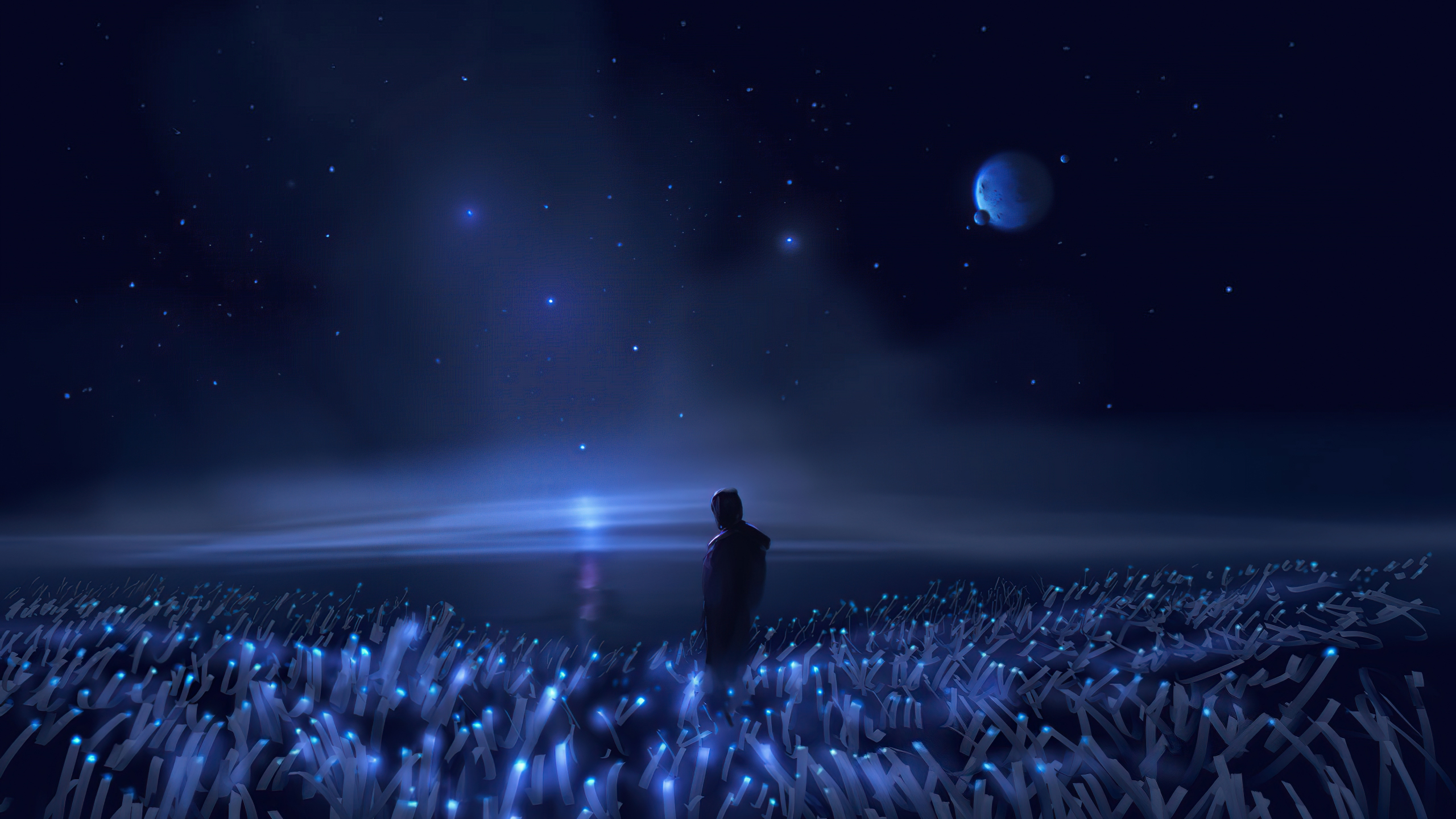 Download wallpaper 2560x1440 alone in field, night, dark sky, fantasy