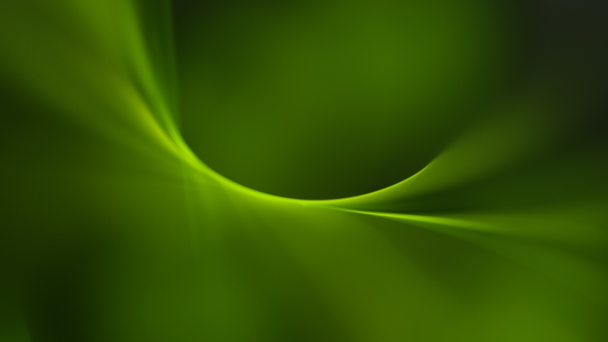 Download Wallpaper 2560x1440 Simple Green Curves Abstract Dual Wide 16 9 2560x1440 Hd Background 41