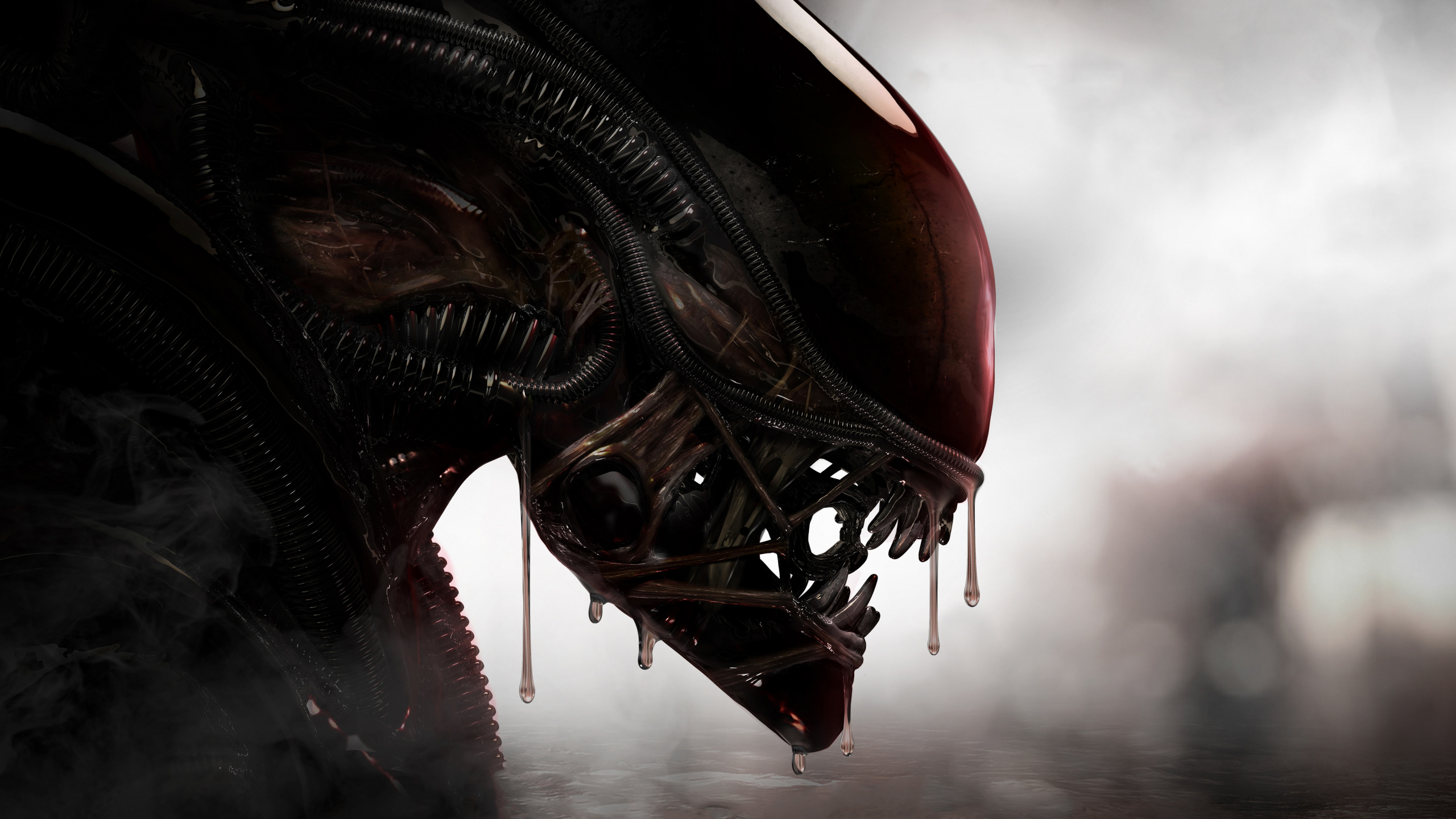 Download Predator Versus Alien Wallpaper