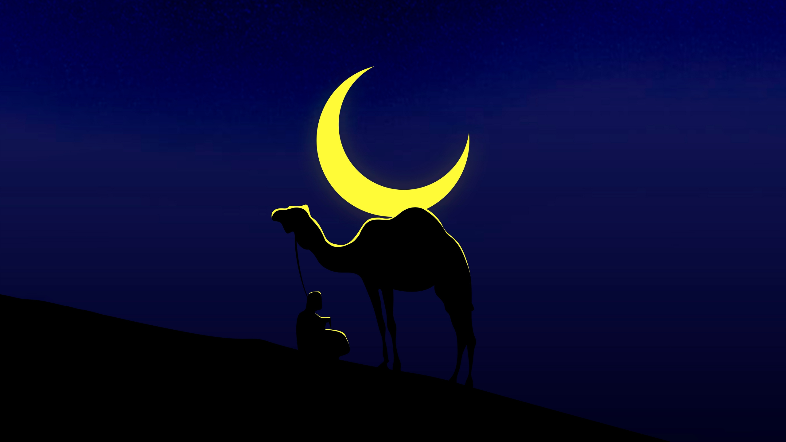 Camel and his master, moon, minimal, 2560x1440 wallpaper