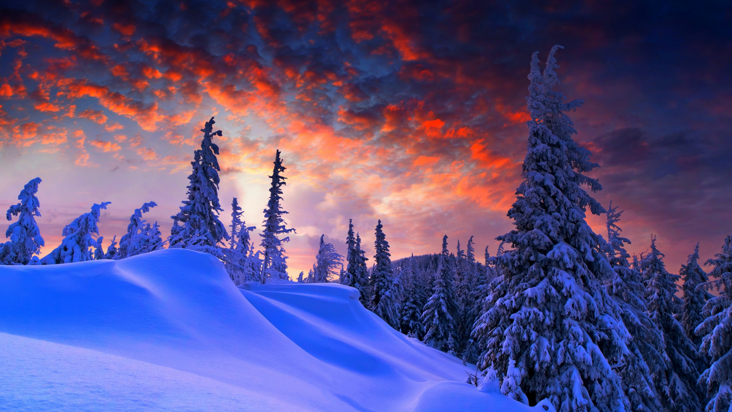 Buổi tối mùa đông là thời điểm tuyệt vời để thả mình vào không khí sâu lắng, tĩnh lặng. Hãy xem ngay hình ảnh liên quan và đắm mình trong cảnh tượng thiên nhiên tuyệt đẹp của mùa đông với những tầng sương mờ ảo.