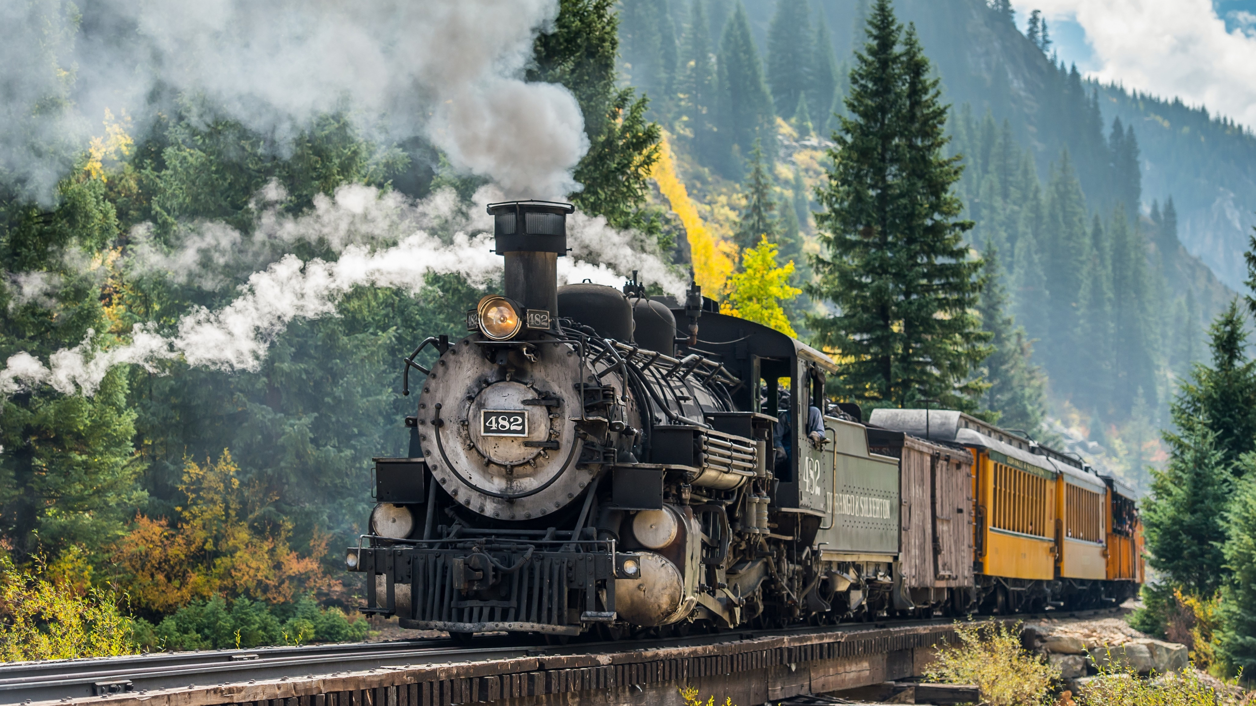 Download wallpaper 2560x1440 steam engine, train, forest, railroad,  vehicle, dual wide 16:9 2560x1440 hd background, 1984
