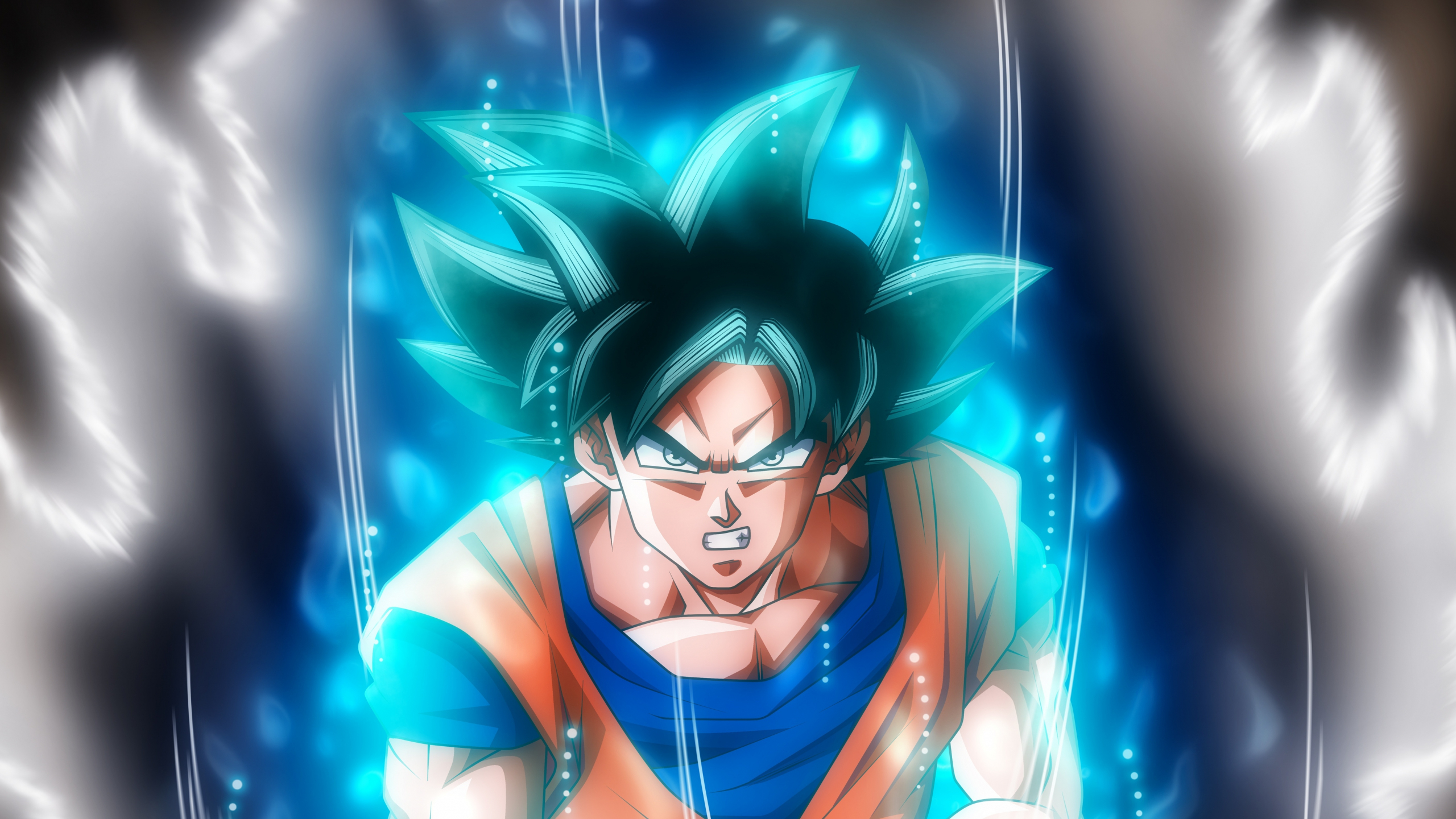 Download Wallpaper 2560x1440 Goku, Ultra Instinct, Dragon Ball, Artwork ...