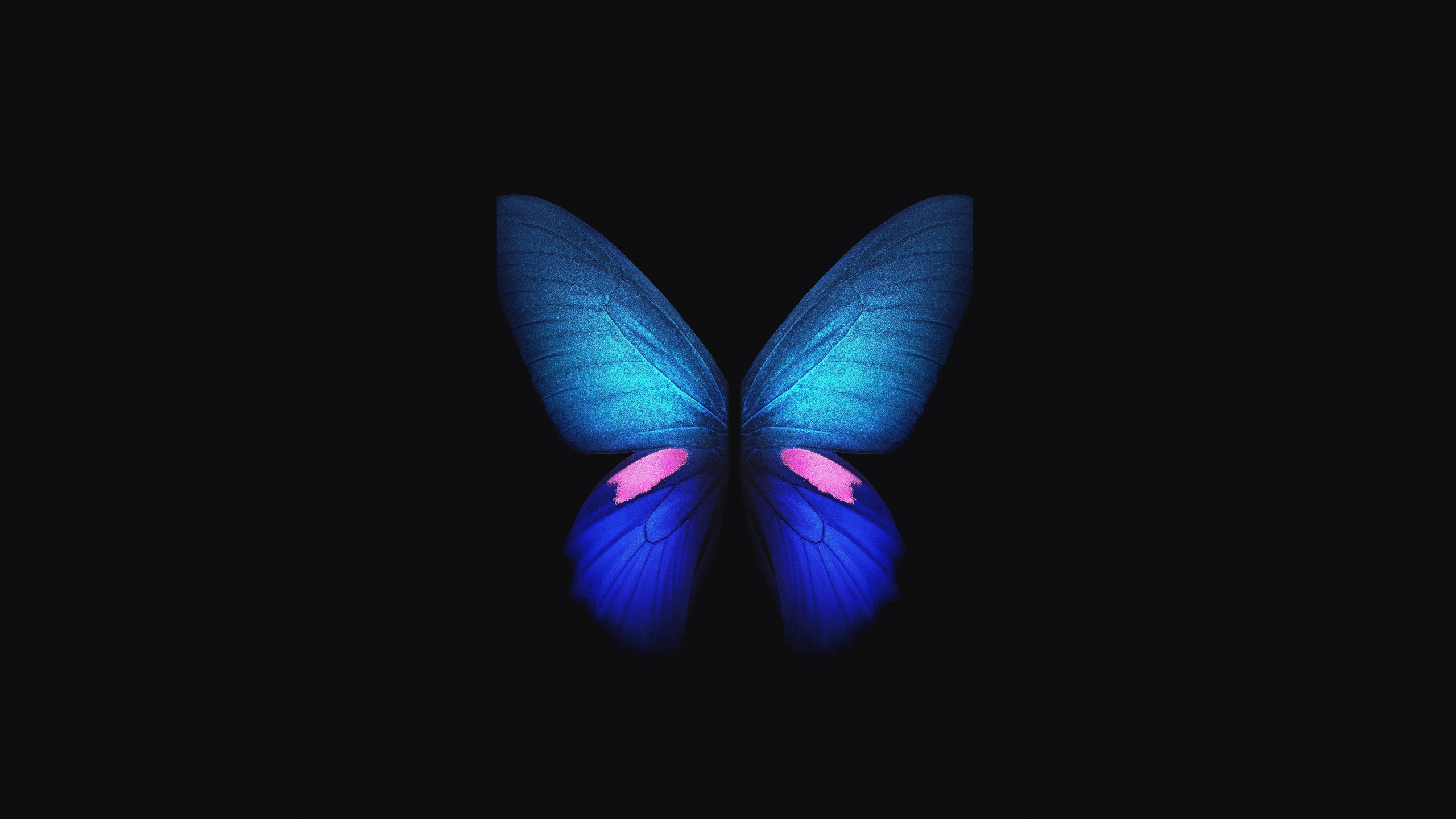 Download wallpaper 2560x1440 samsung galaxy fold, blue butterfly ...