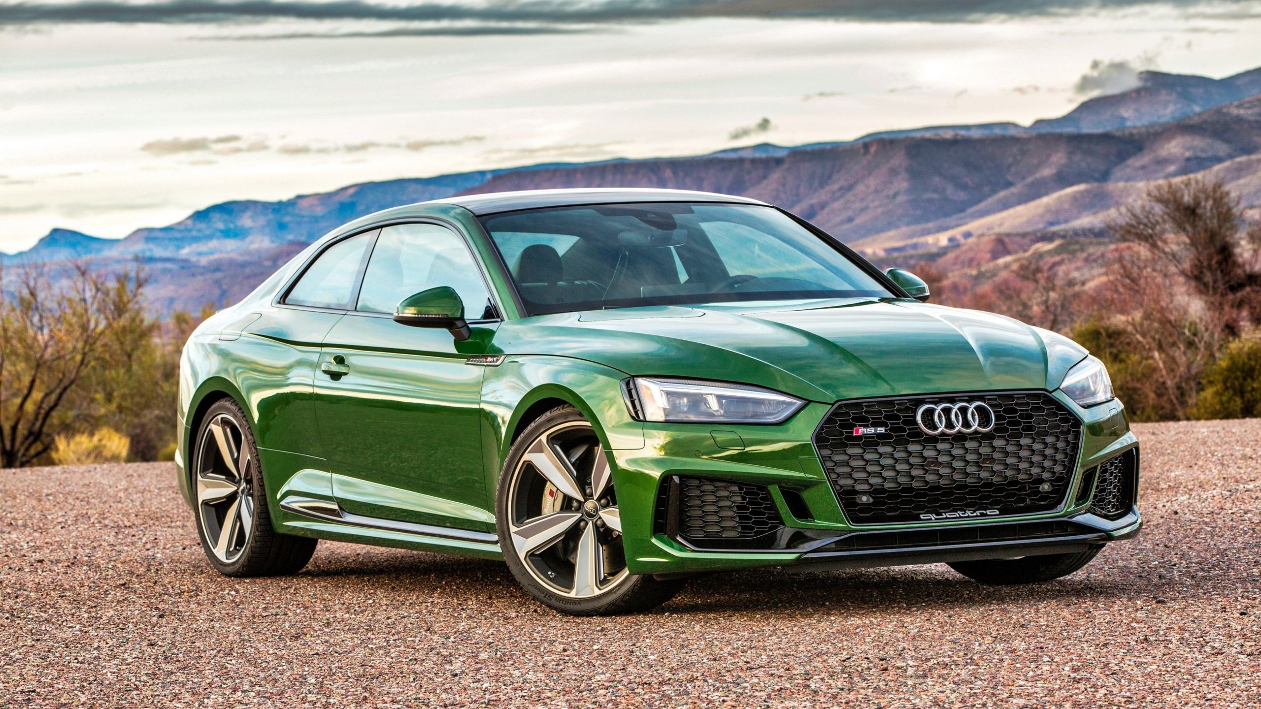 Download 2560x1440 wallpaper audi rs5, green luxurious car, front, dual ...