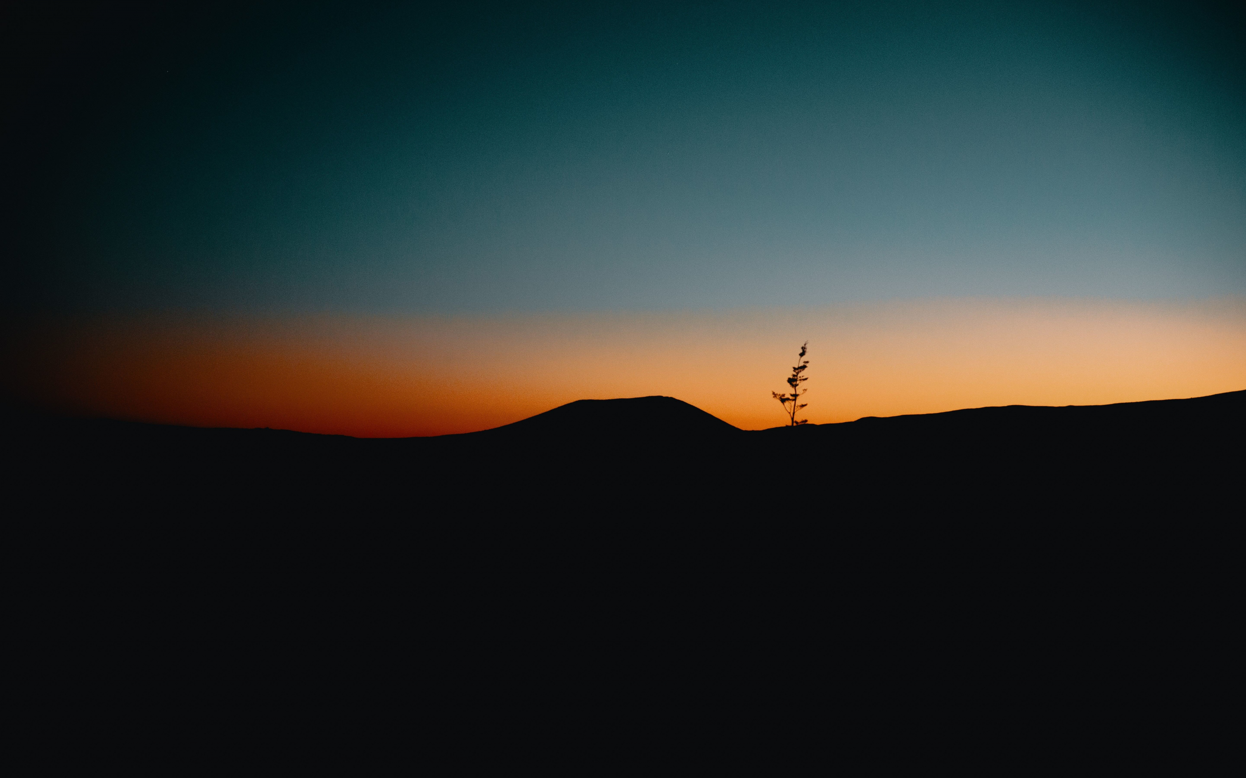 Download Wallpaper 2560x1600 Twilight, Sunset, Sky, Silhouette, Dual 