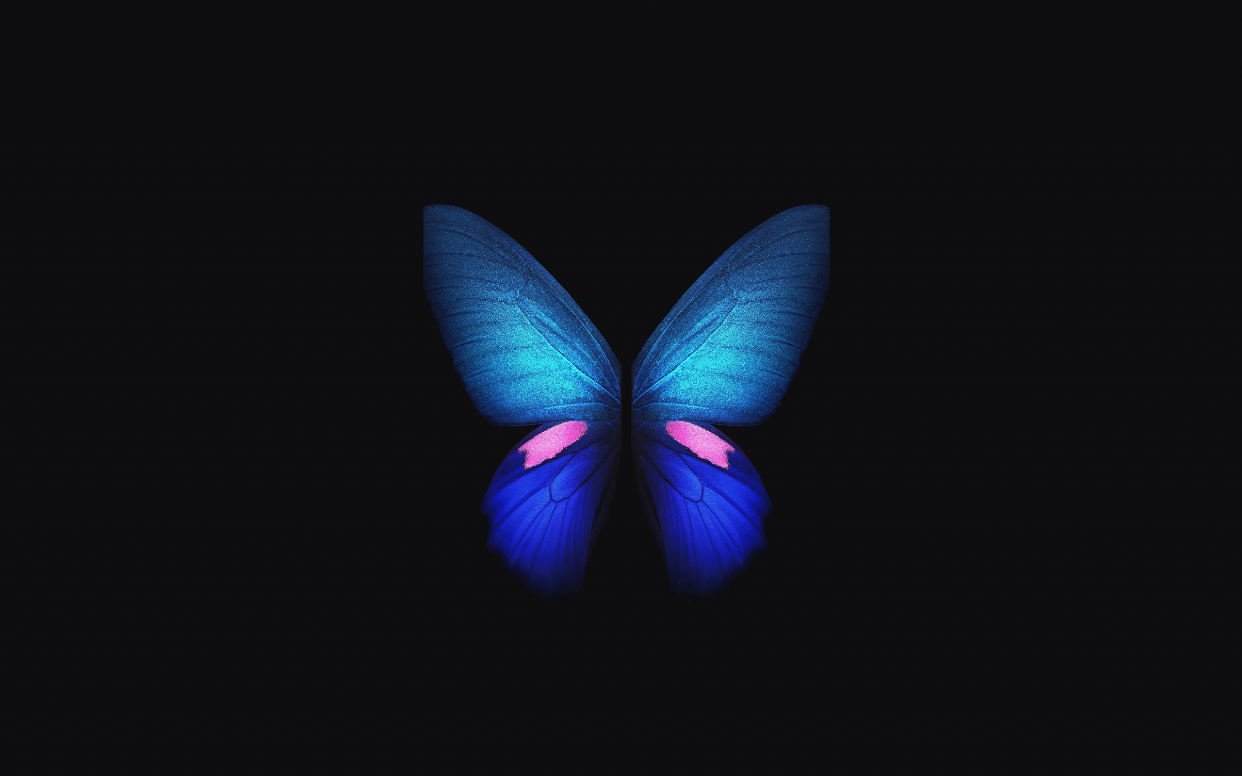 Download wallpaper 2560x1600 samsung galaxy fold, blue butterfly ...