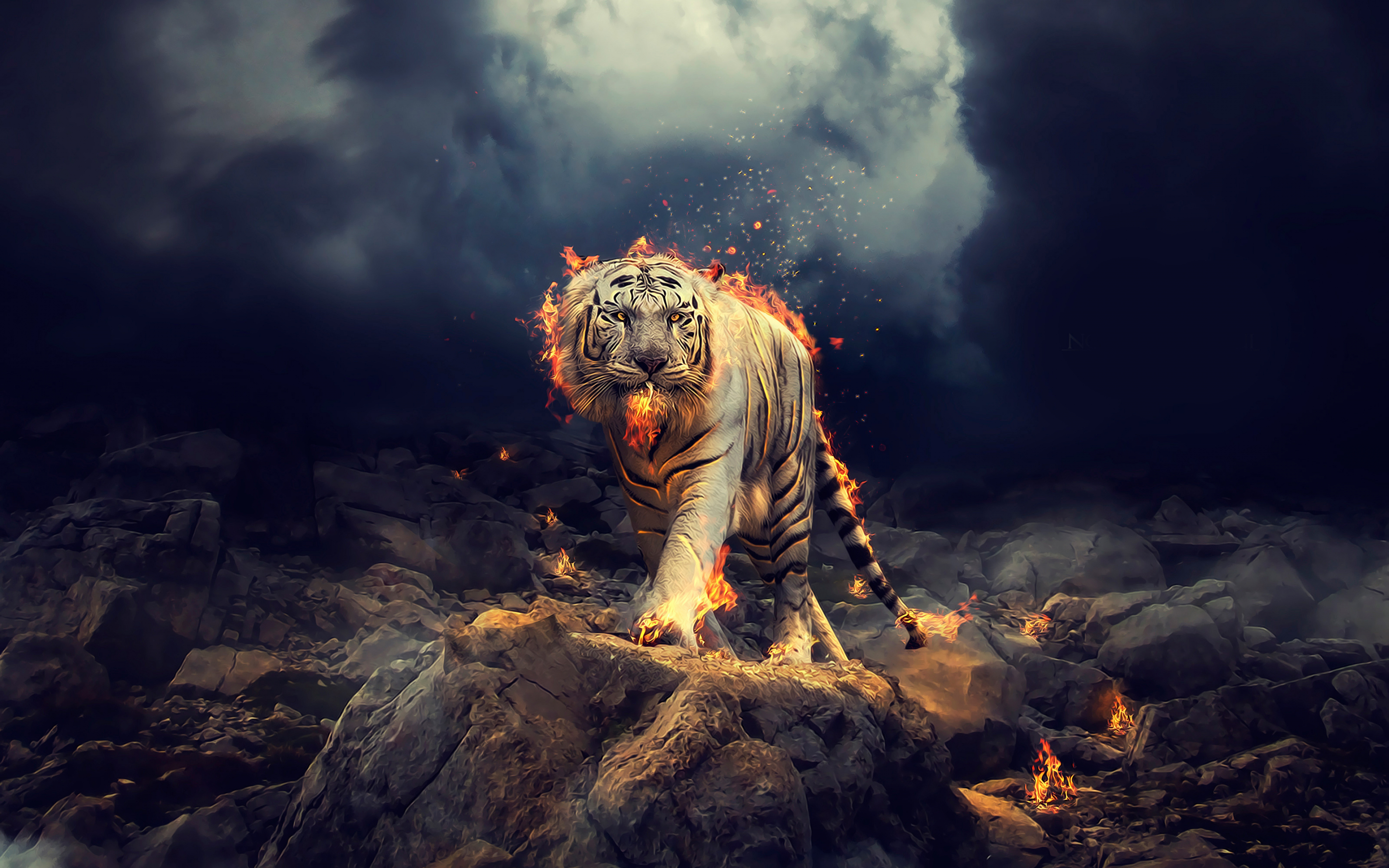 Angry, raging, white tiger, 2880x1800 wallpaper